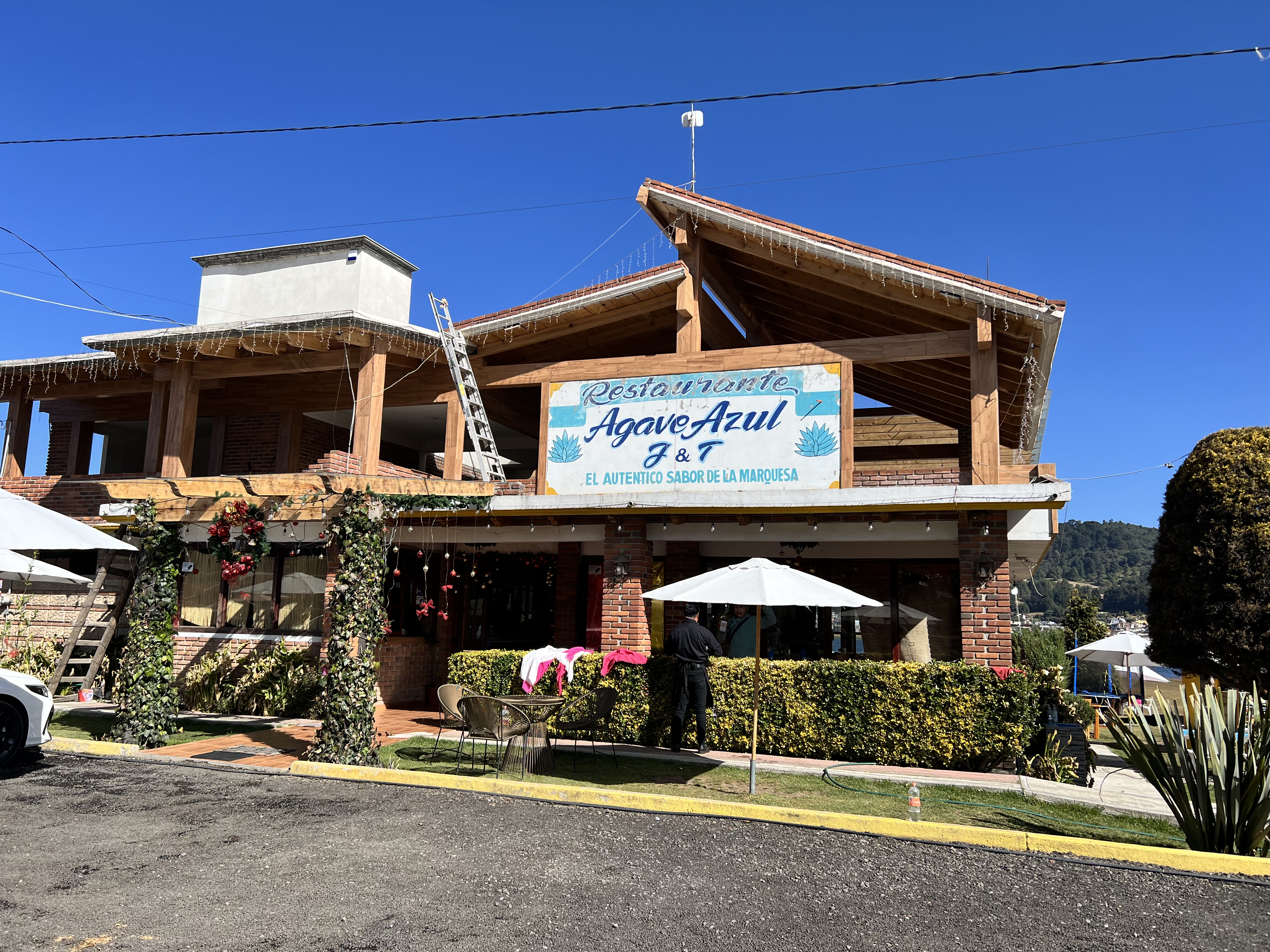 Agave Azul J&T image 7