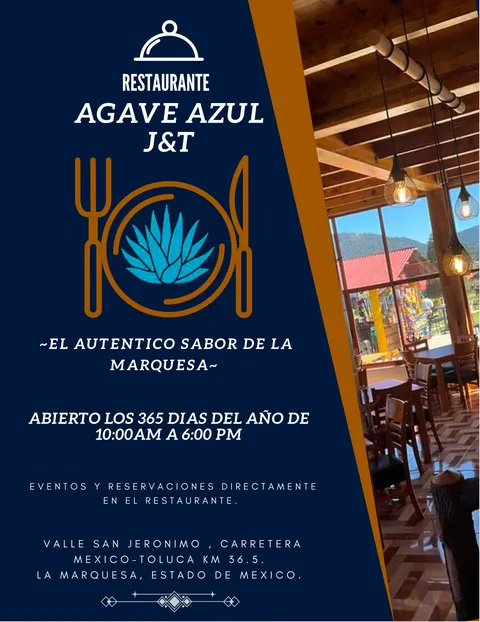 Agave Azul J&T image 8