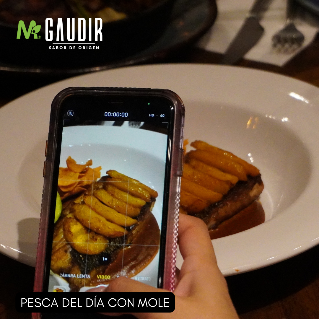 Manzara Gaudir image 2