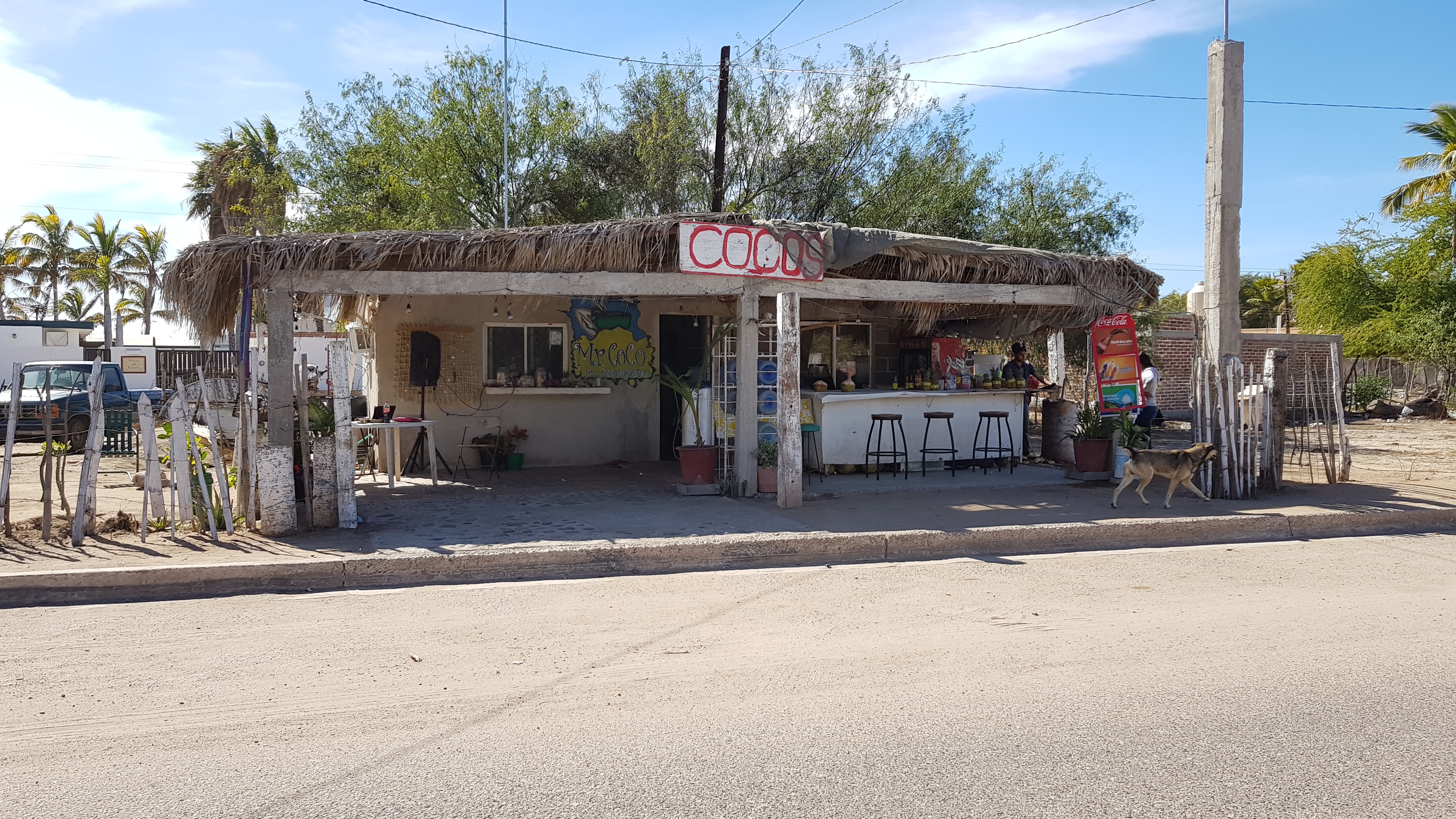 Mister Oaxtepec image 4
