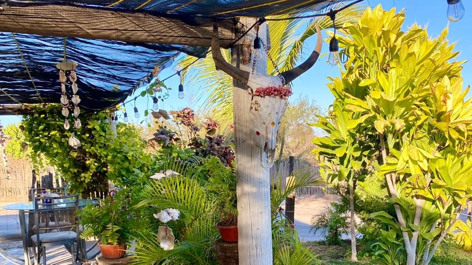 "El Picho" Mariscos image 3