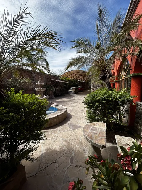 Restaurante Las Palmeras image 4