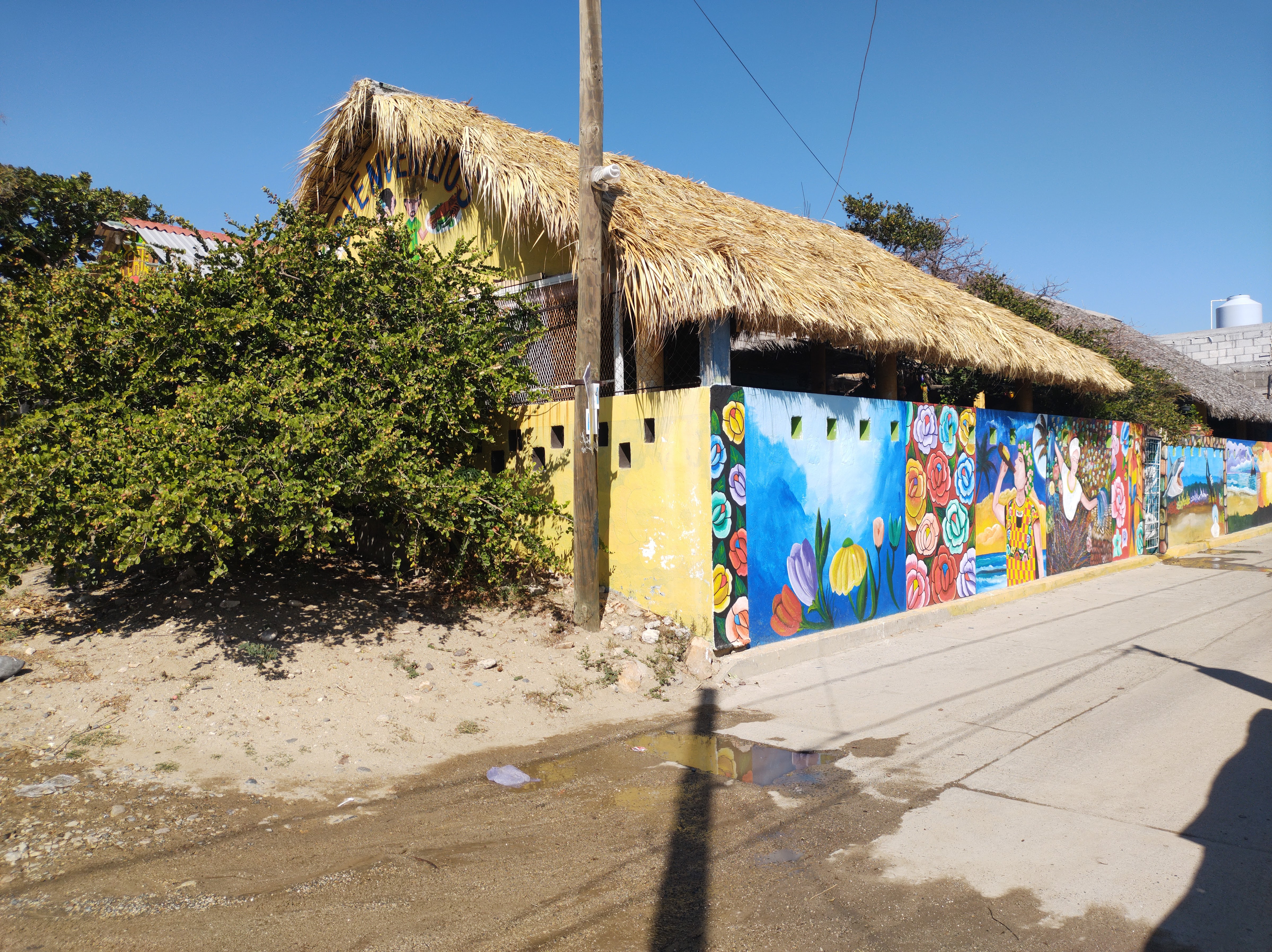 Coctelería Alex image 6