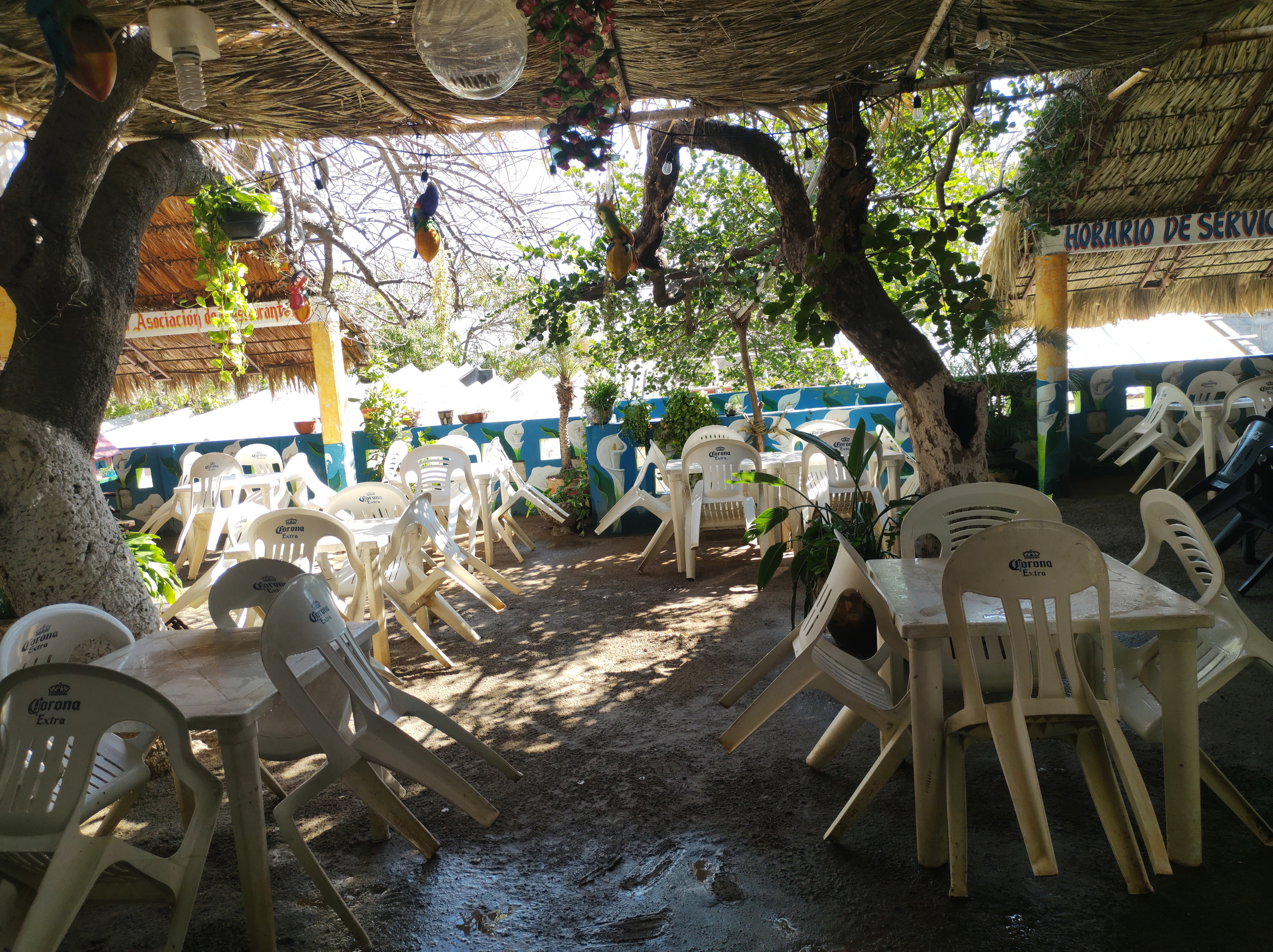 Coctelería Alex image 10