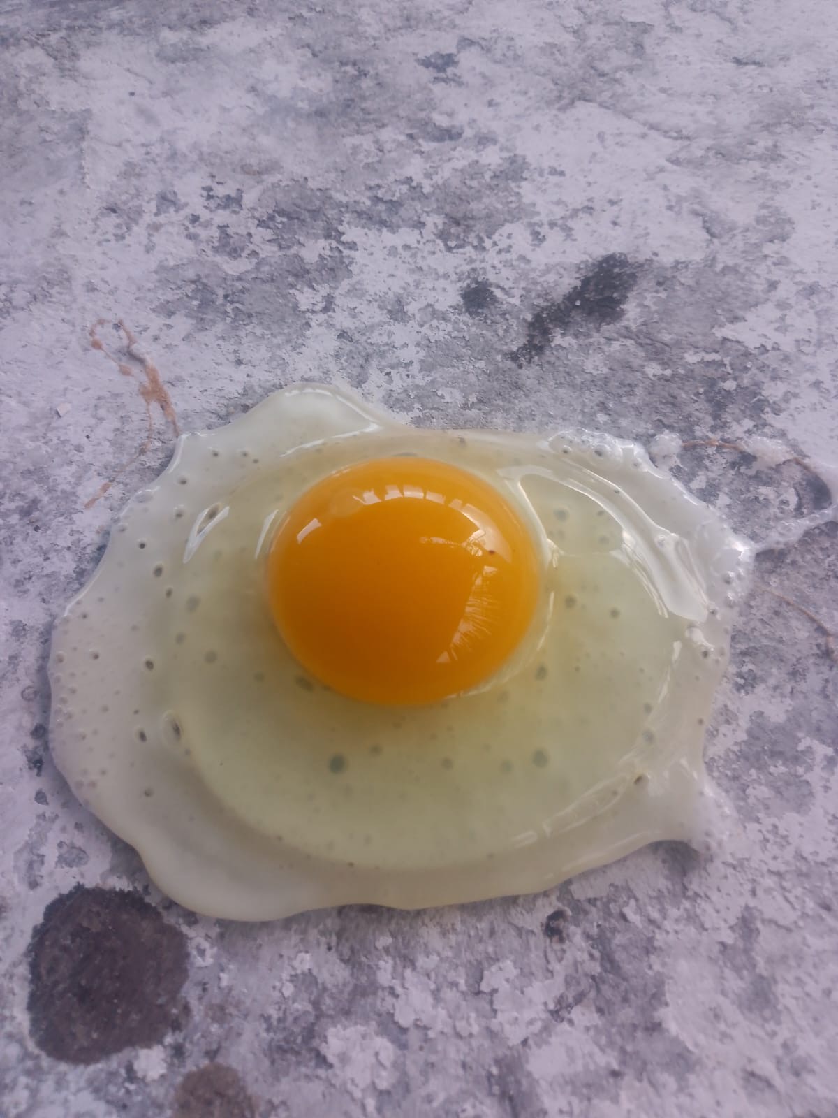 El Sabor de San Lorenzo image 7