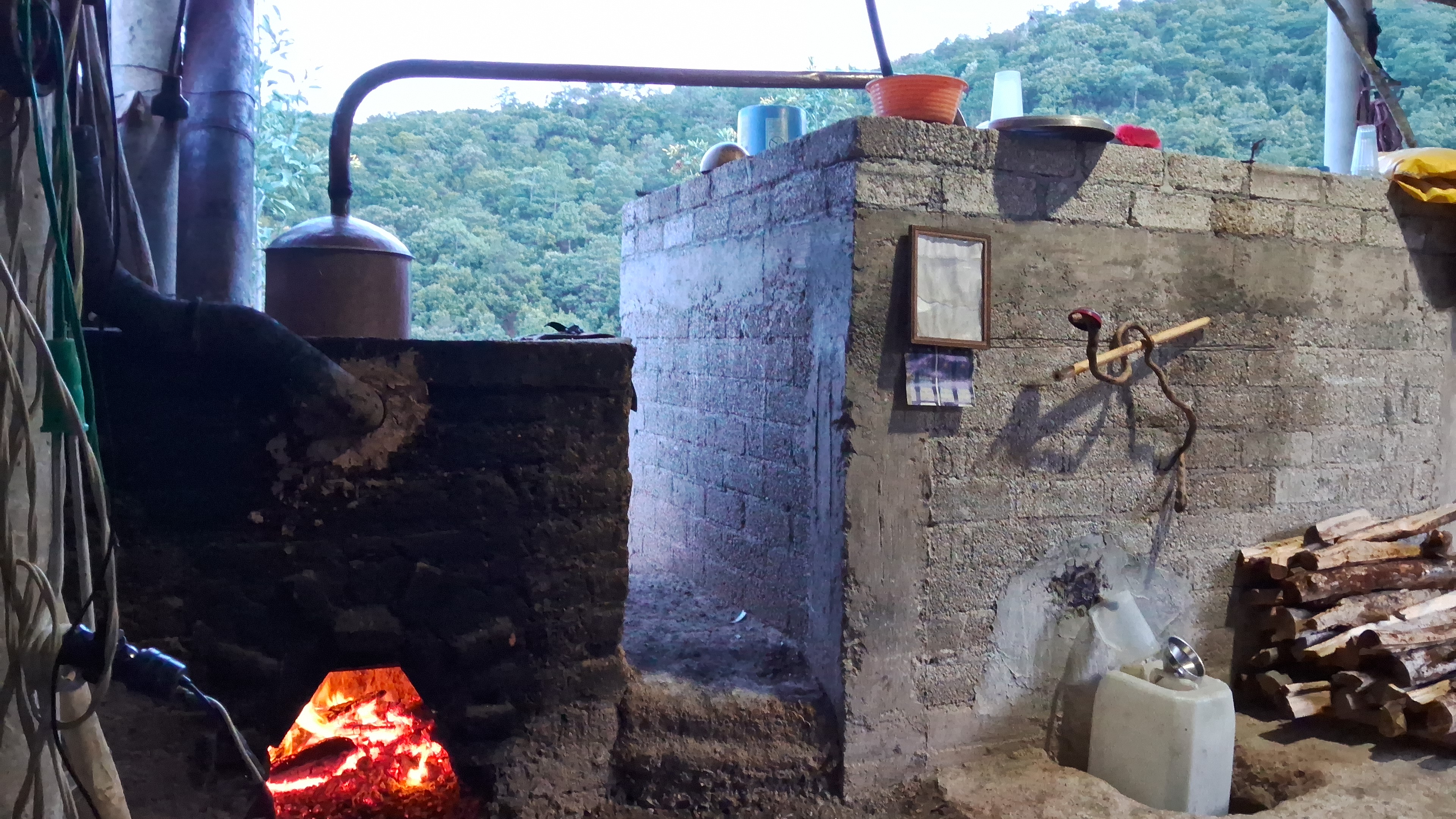 Huella de tigre mezcal image 4