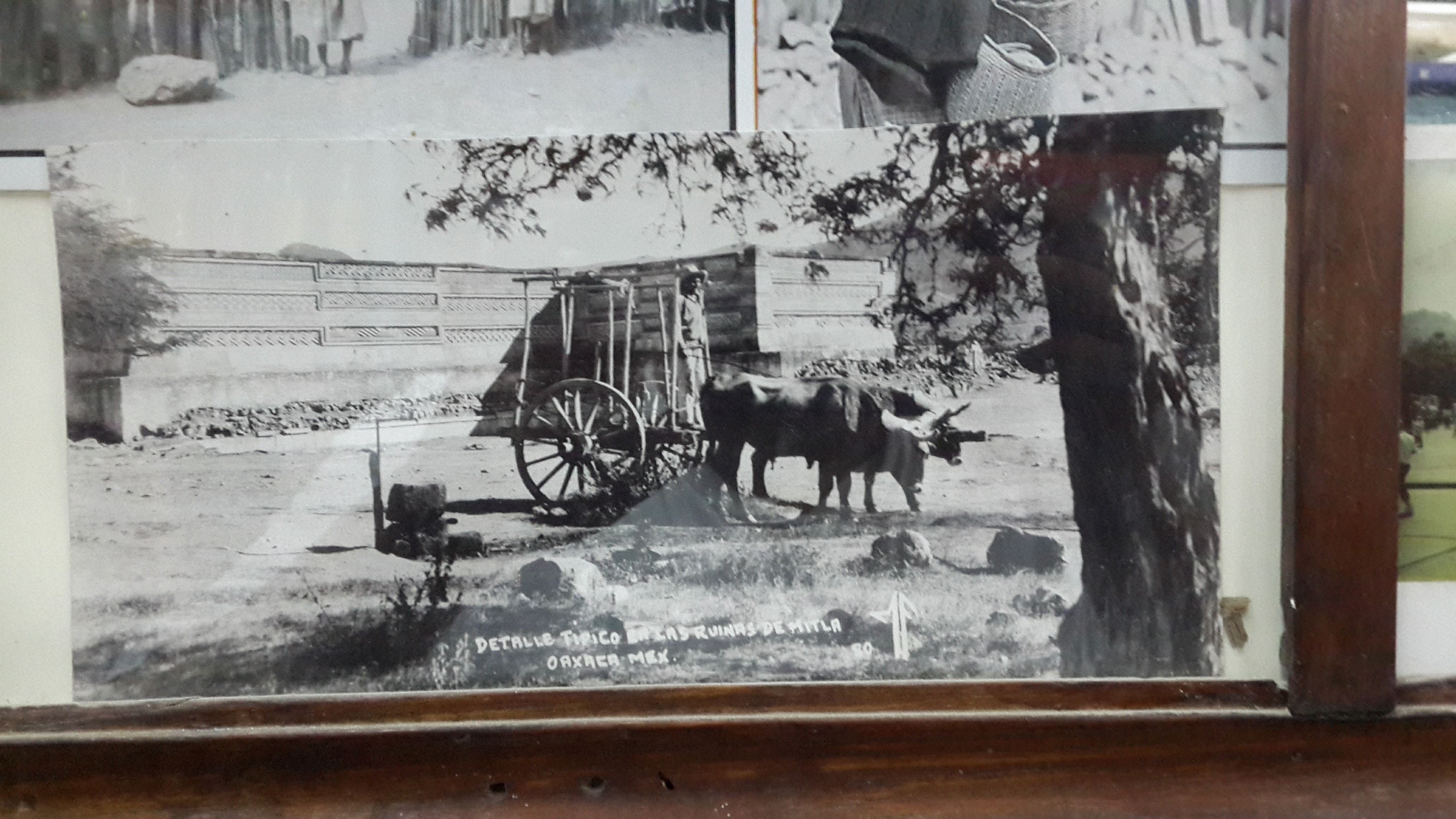 Loncheria "Las Margaritas" image 5