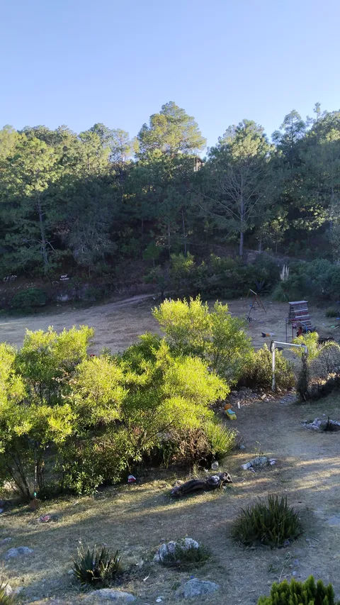 Las canteritas image 9