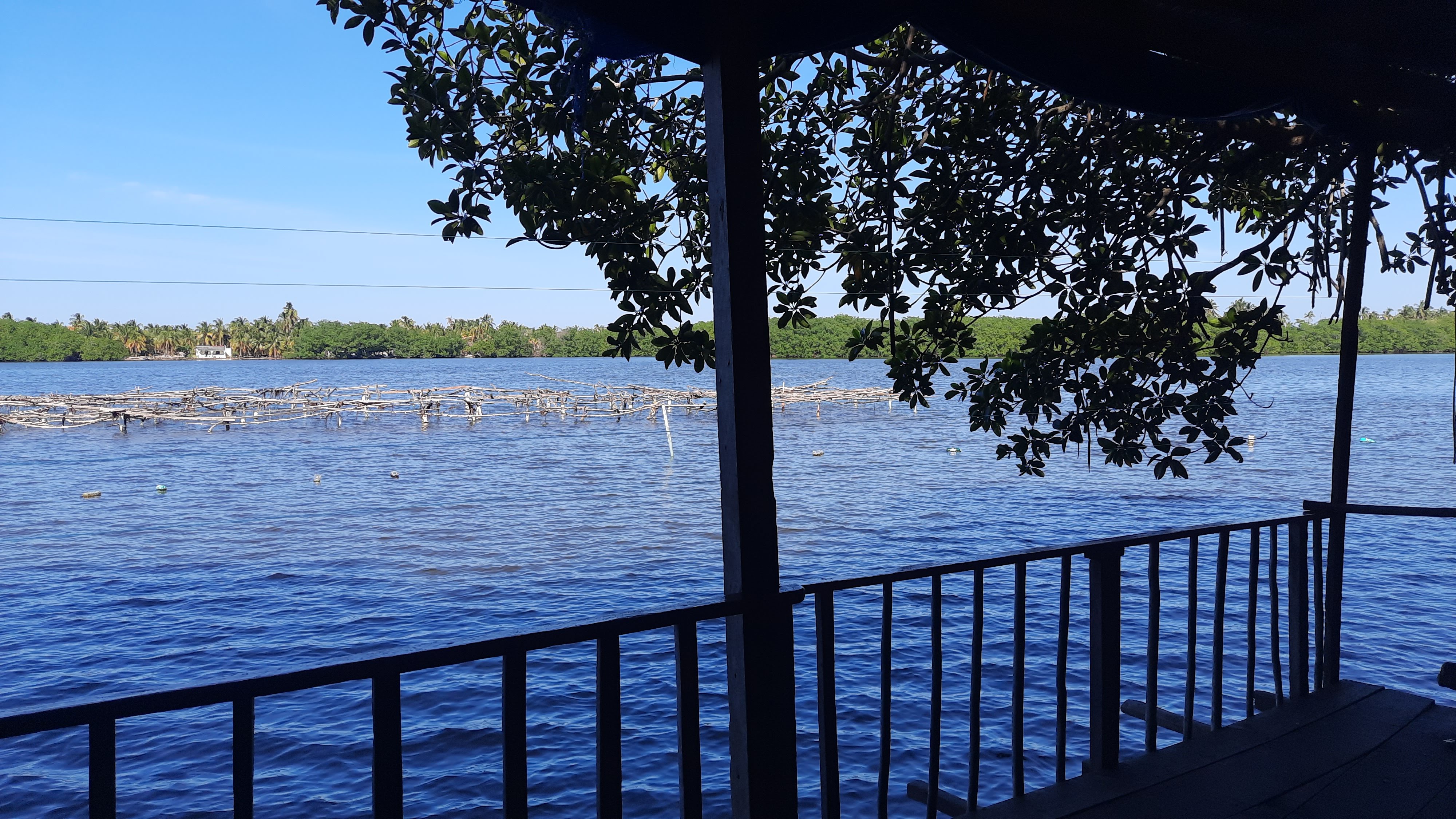 Palapa Dubai image 3