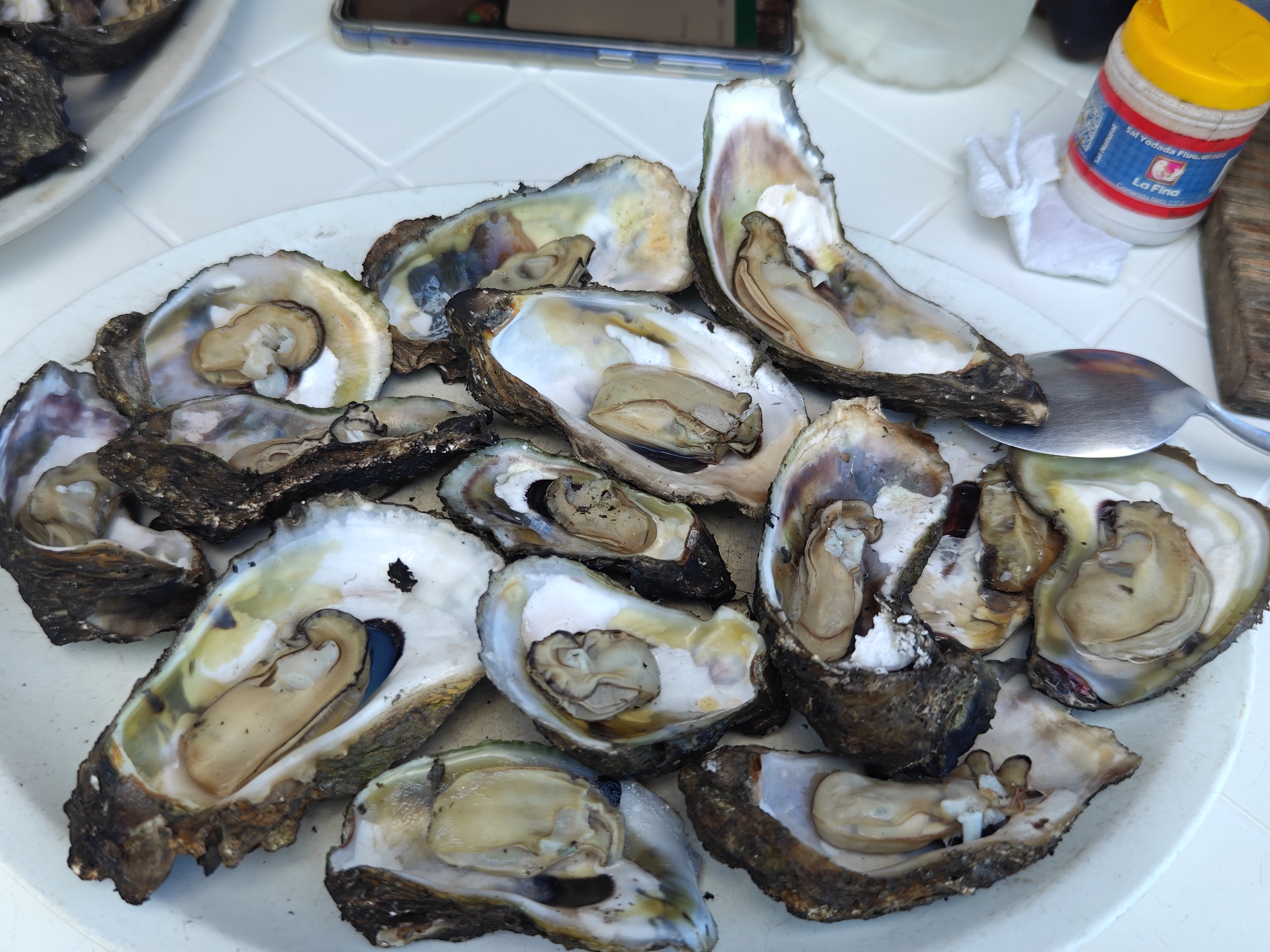 Palapa Dubai image 4