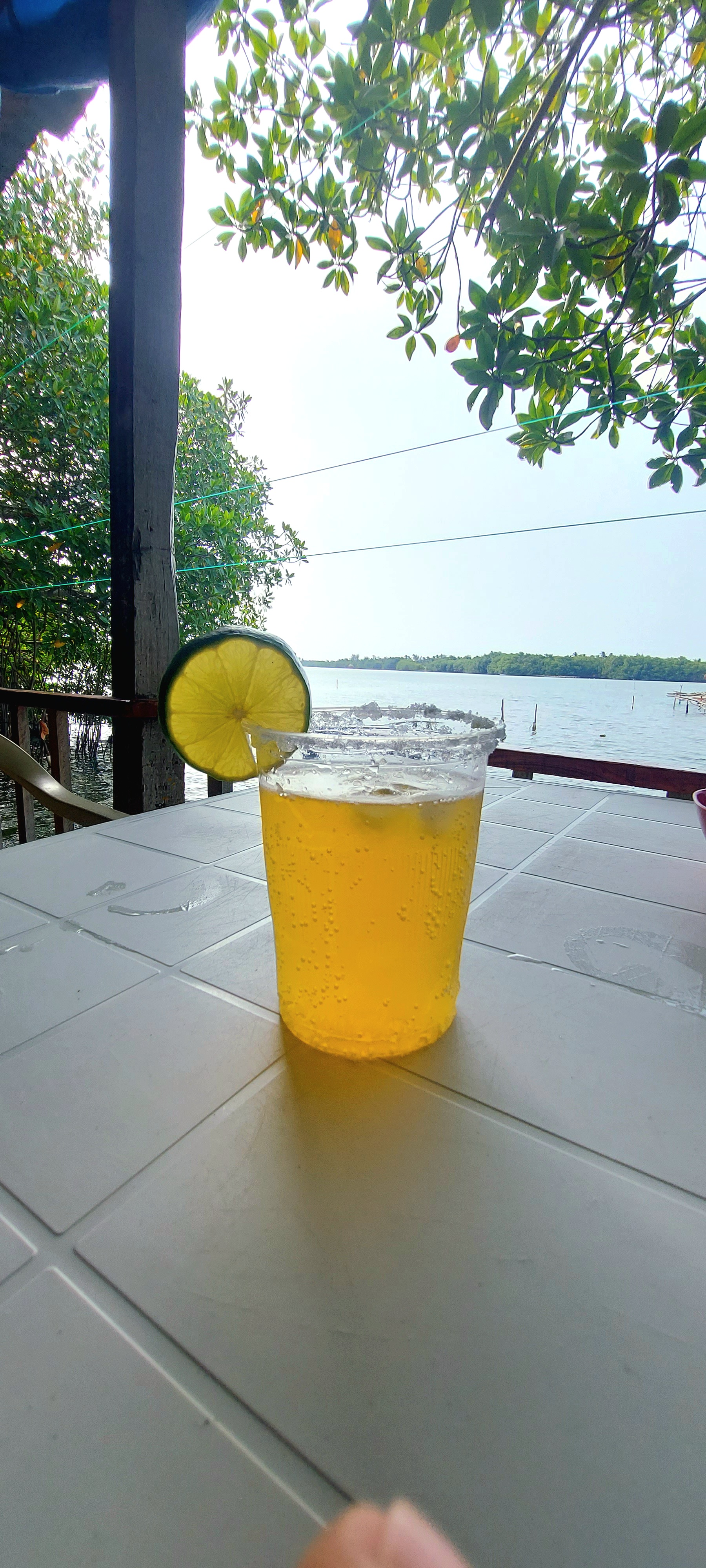 Palapa Dubai image 7