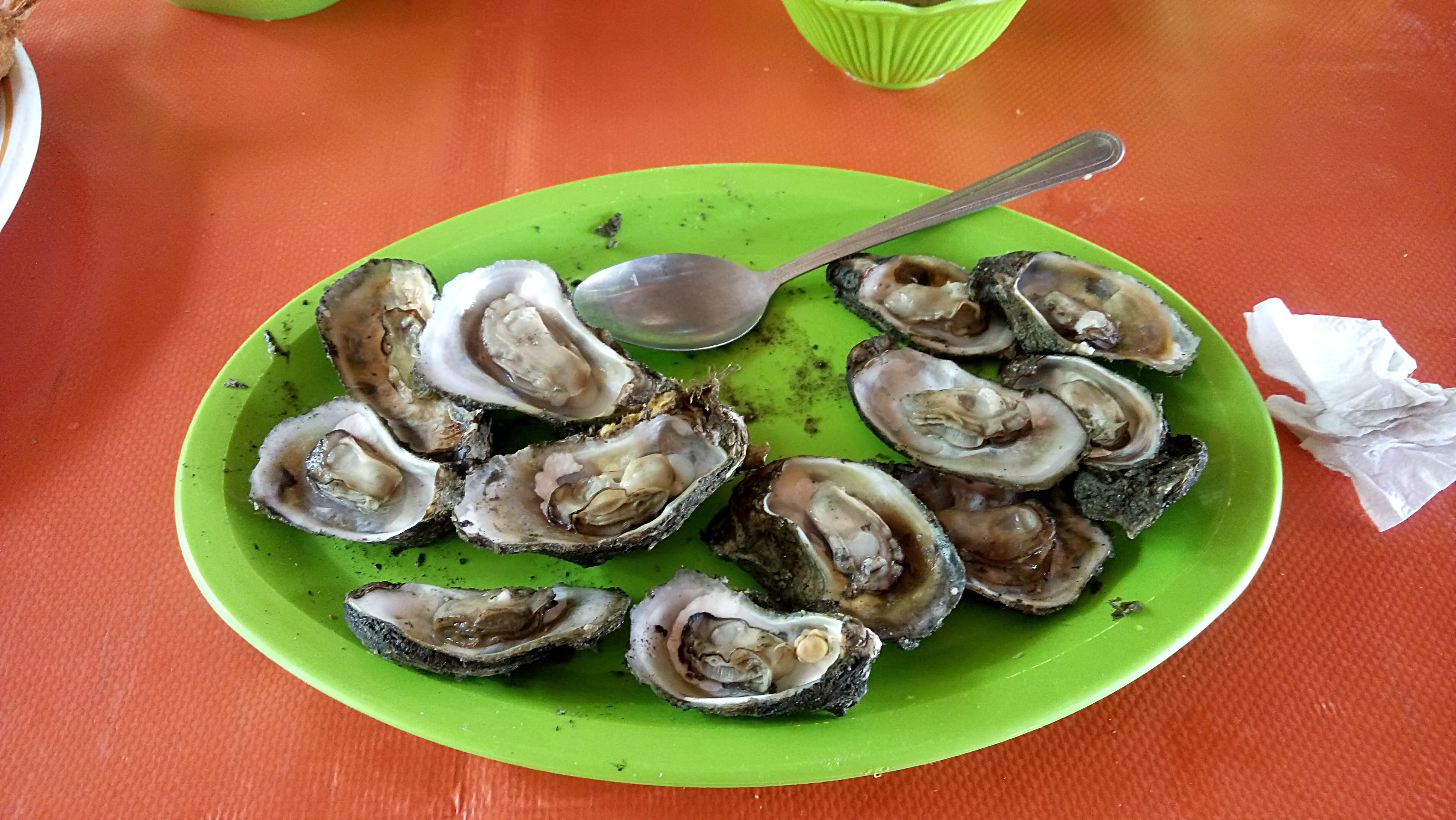 Palapa La Ceiba image 1