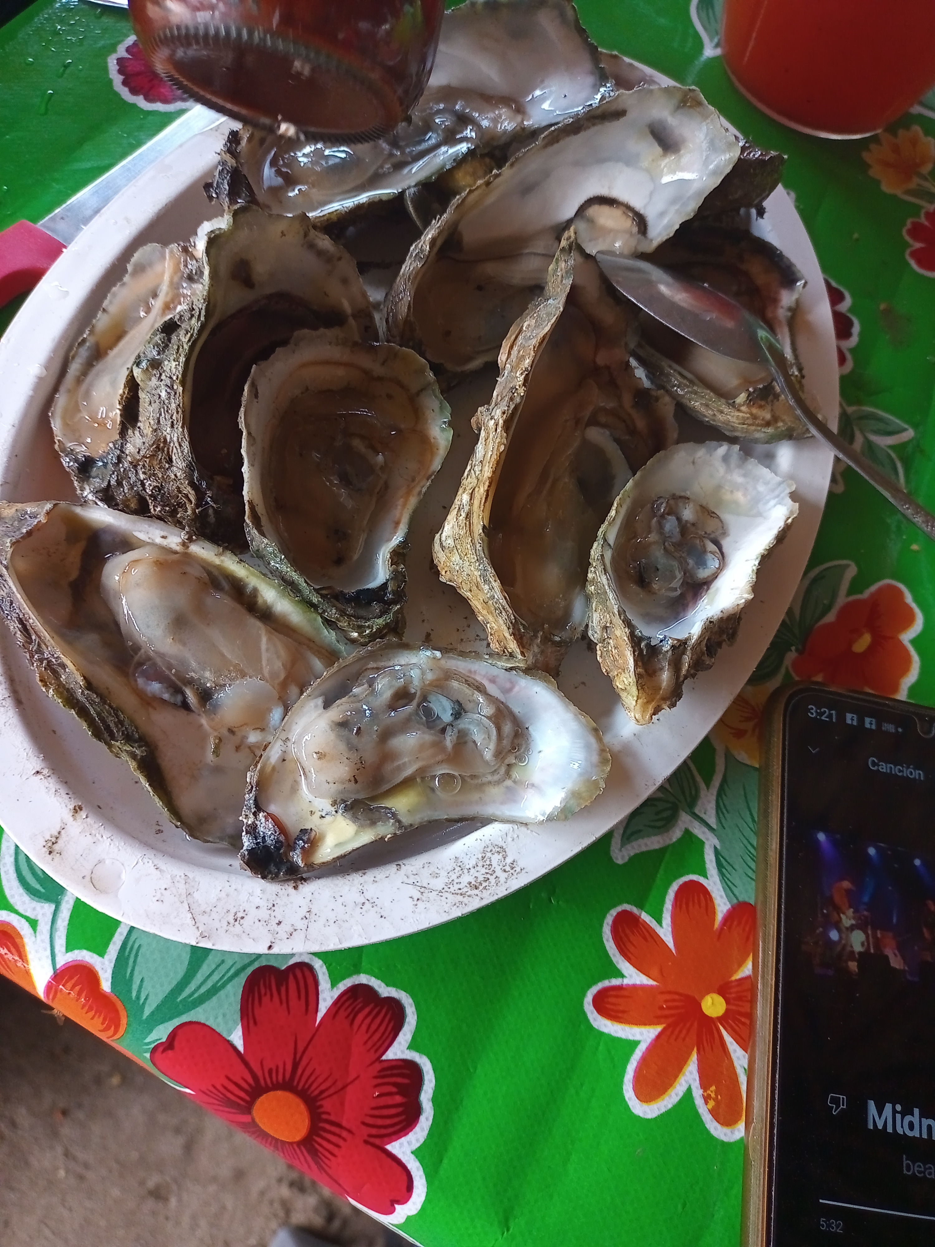 Palapa La Ceiba image 2