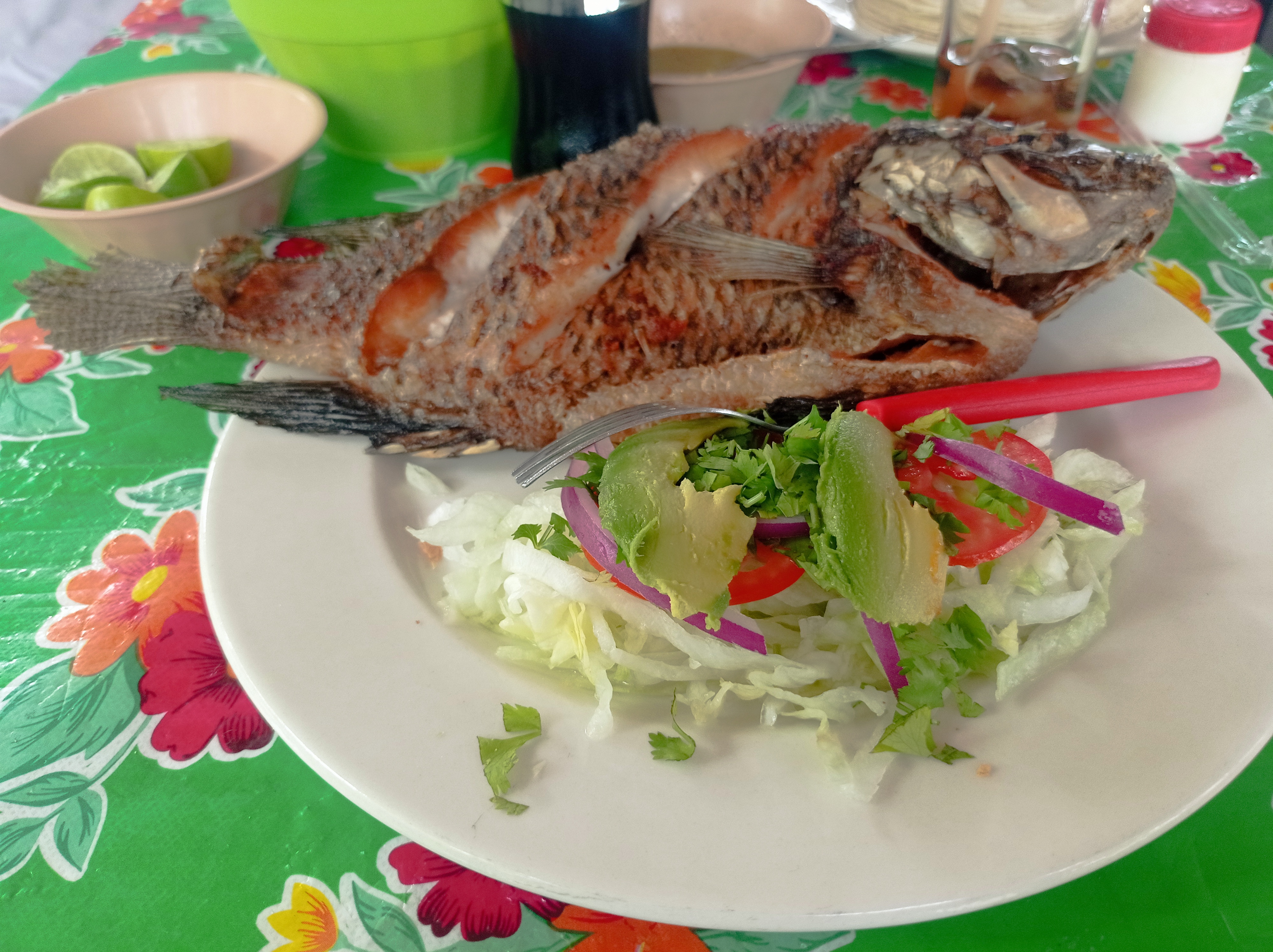 Palapa La Ceiba image 3