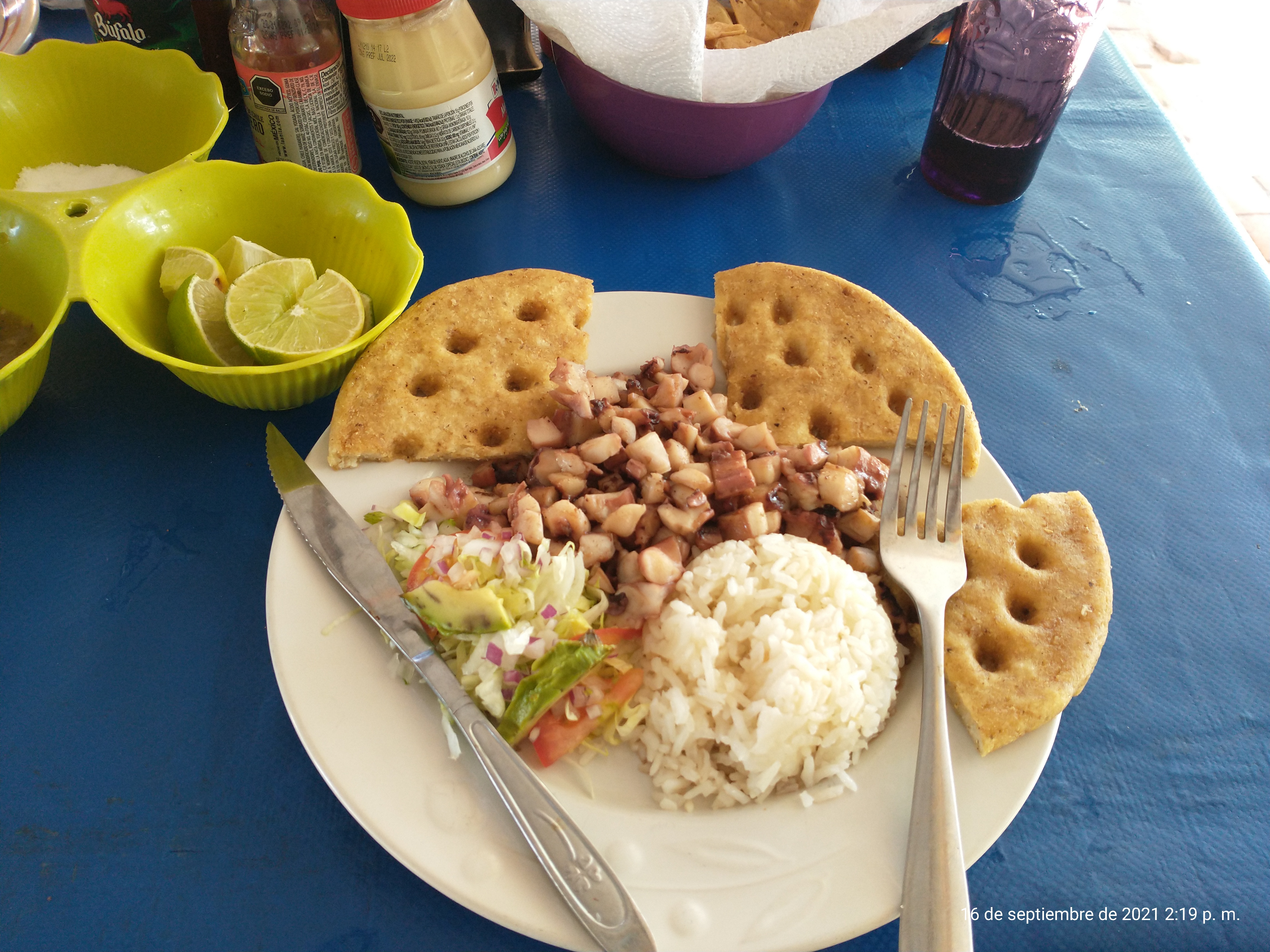 Palapa La Ceiba image 5