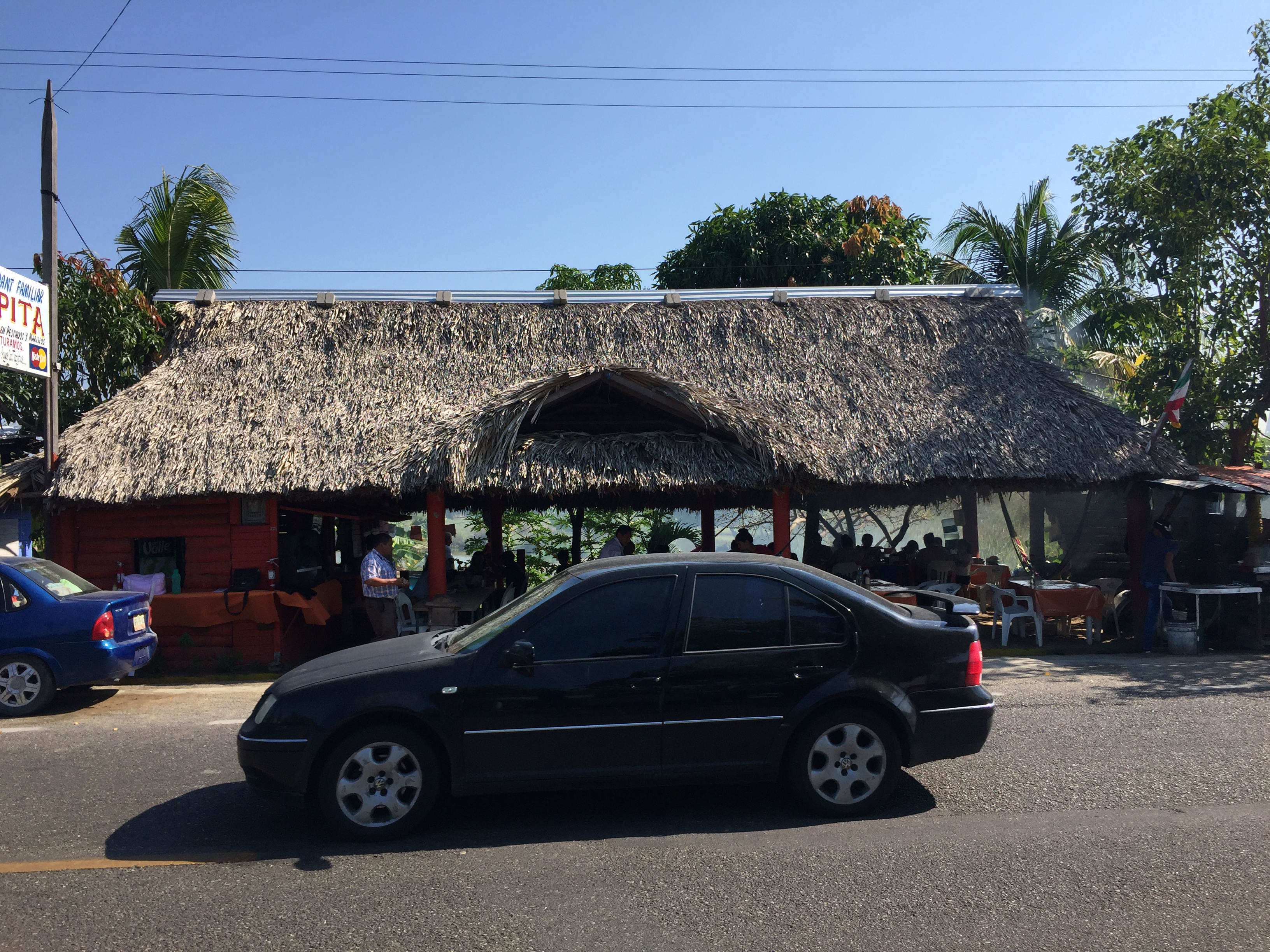 Palapa La Ceiba image 7
