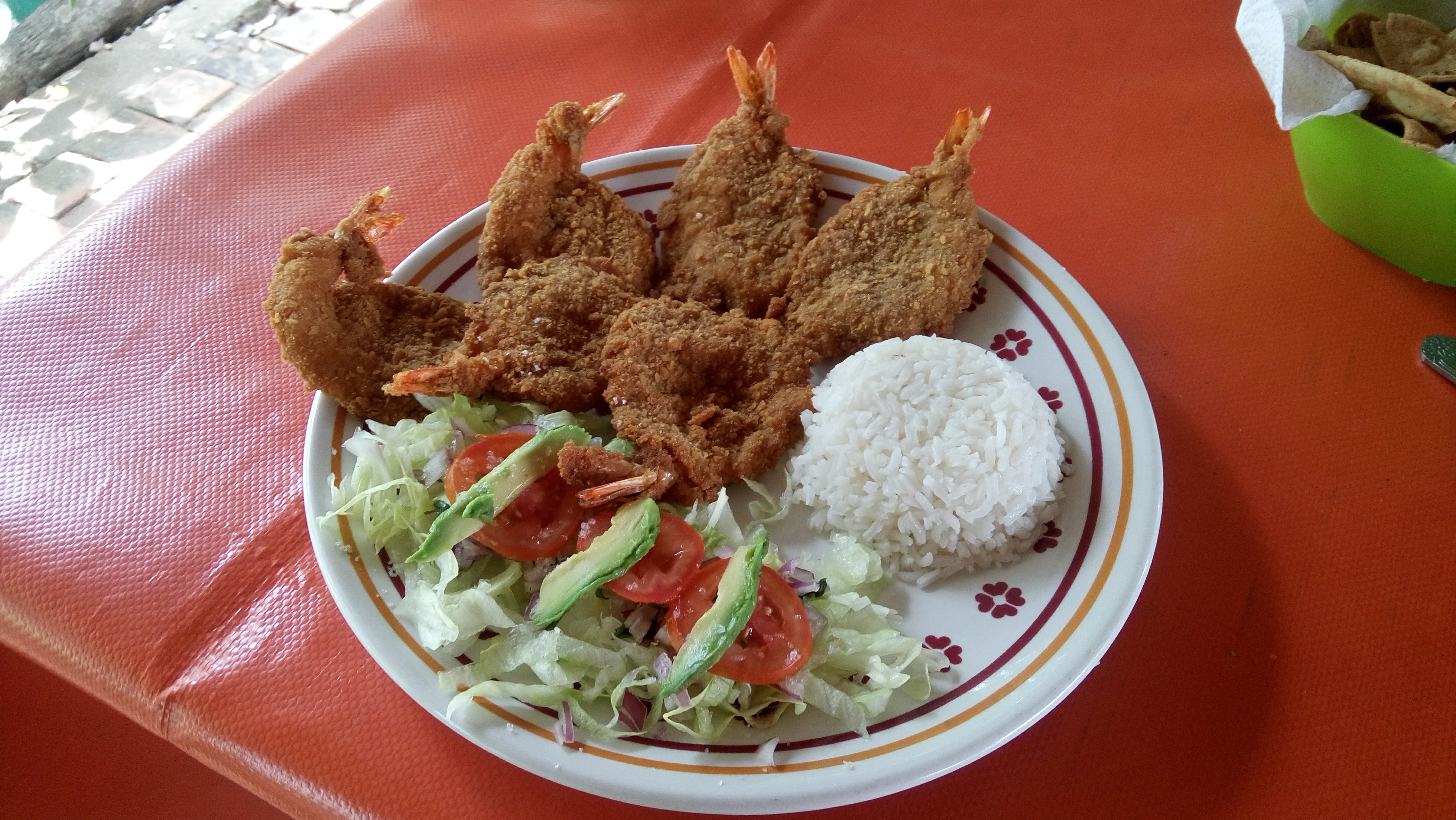 Palapa La Ceiba image 8