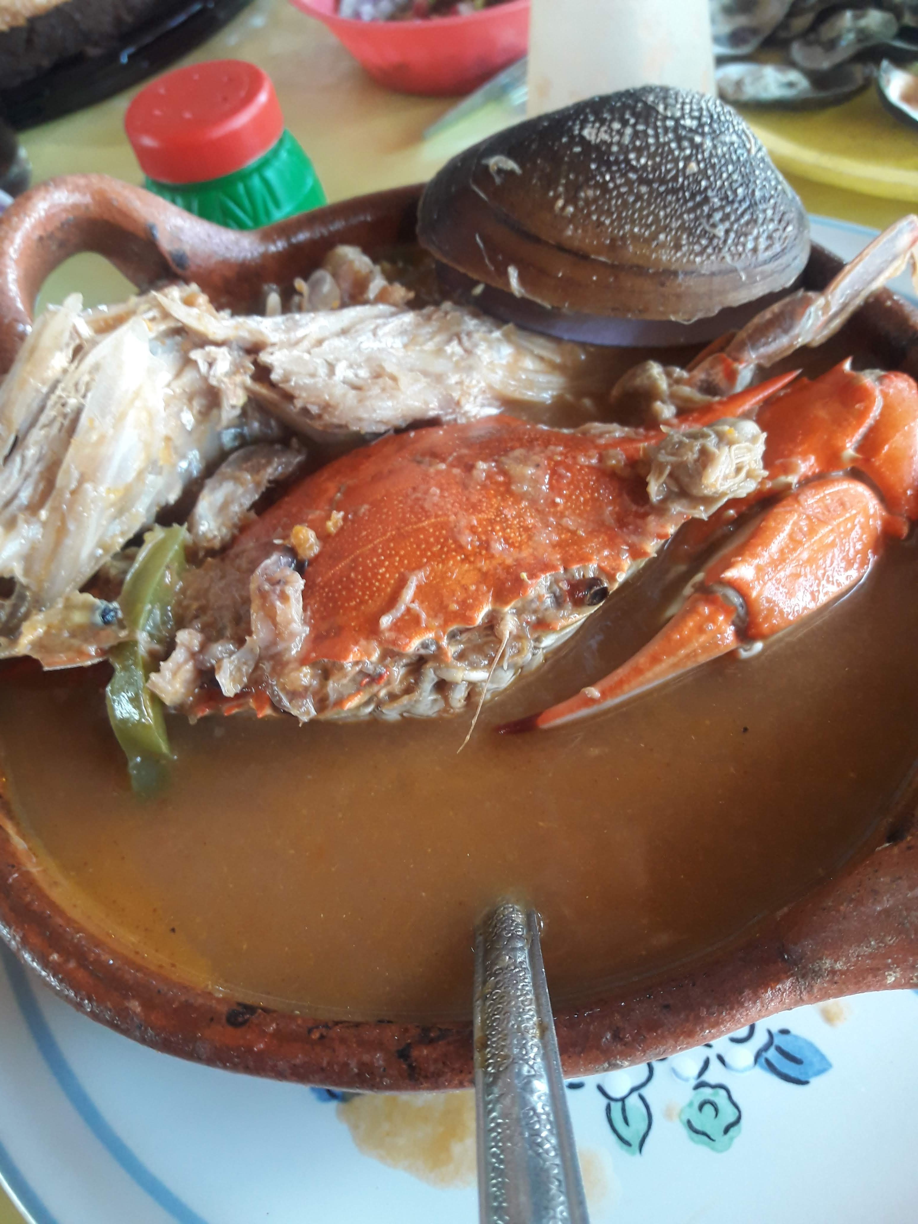 Palapa La Ceiba image 10