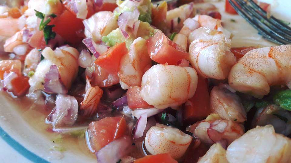 Palapa La Bendicion De Dios image 1