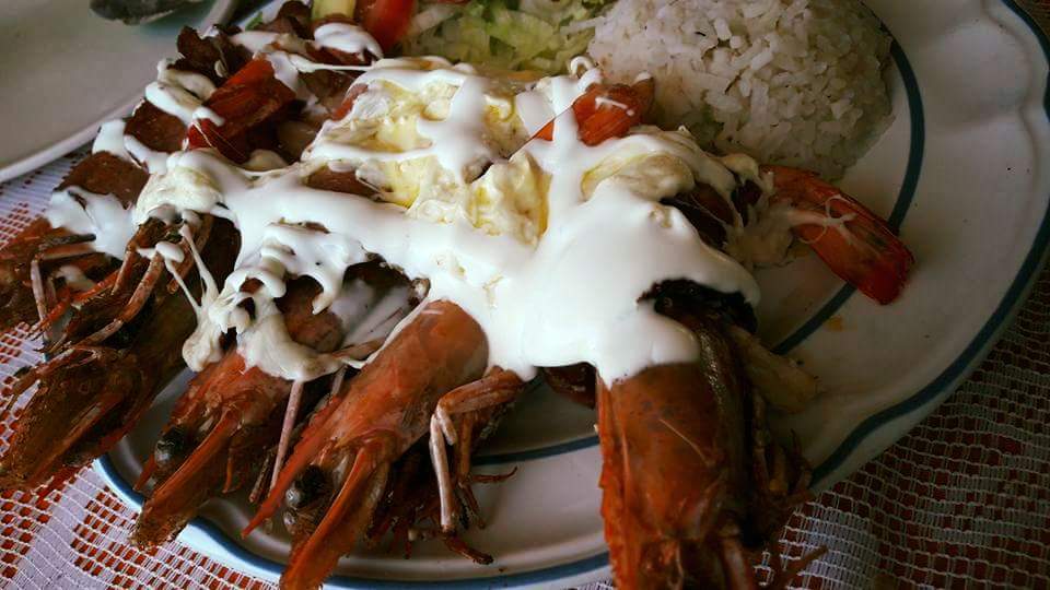 Palapa La Bendicion De Dios image 2