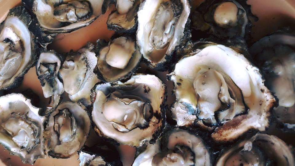 Palapa La Bendicion De Dios image 4