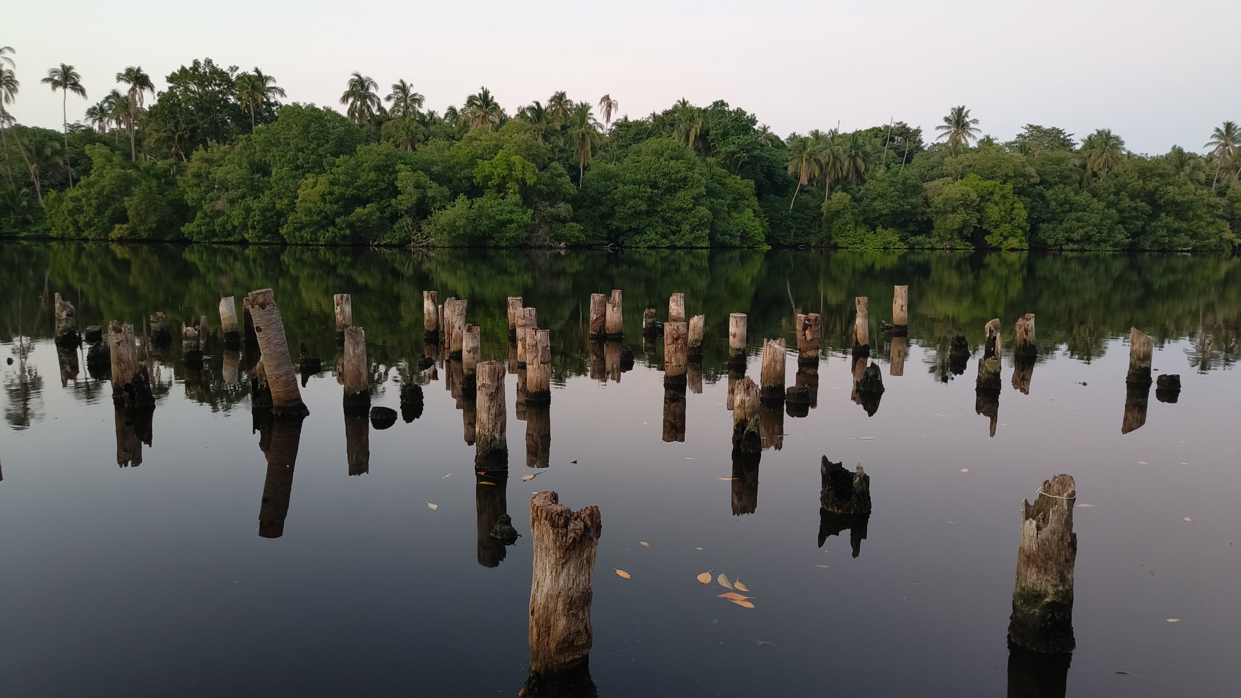 Rest. Monchito Jr. Especialidad En Pescados Y Mariscos image 4
