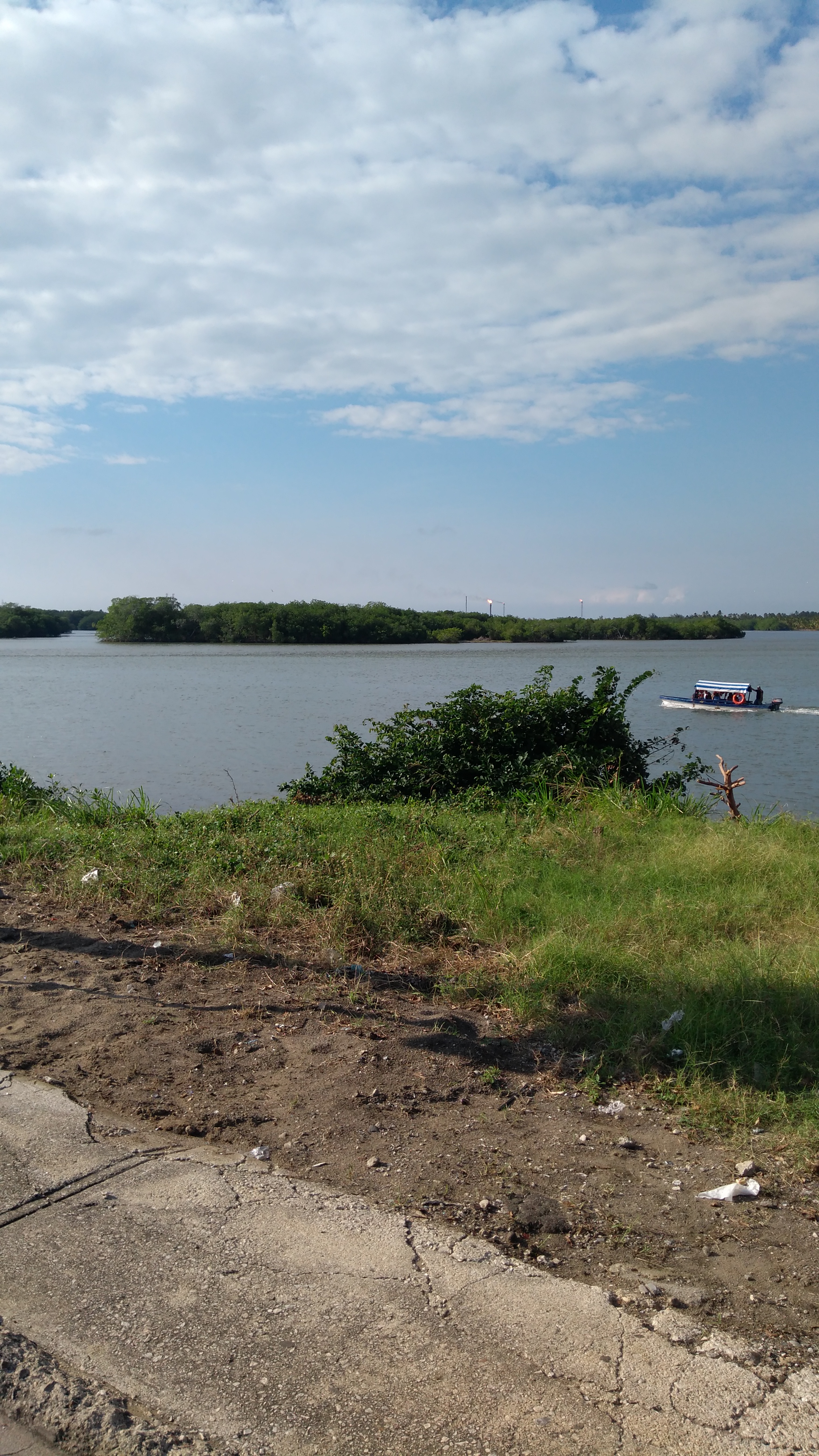 Rest. Monchito Jr. Especialidad En Pescados Y Mariscos image 6