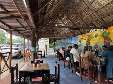 Palapa Las Ranitas image 1