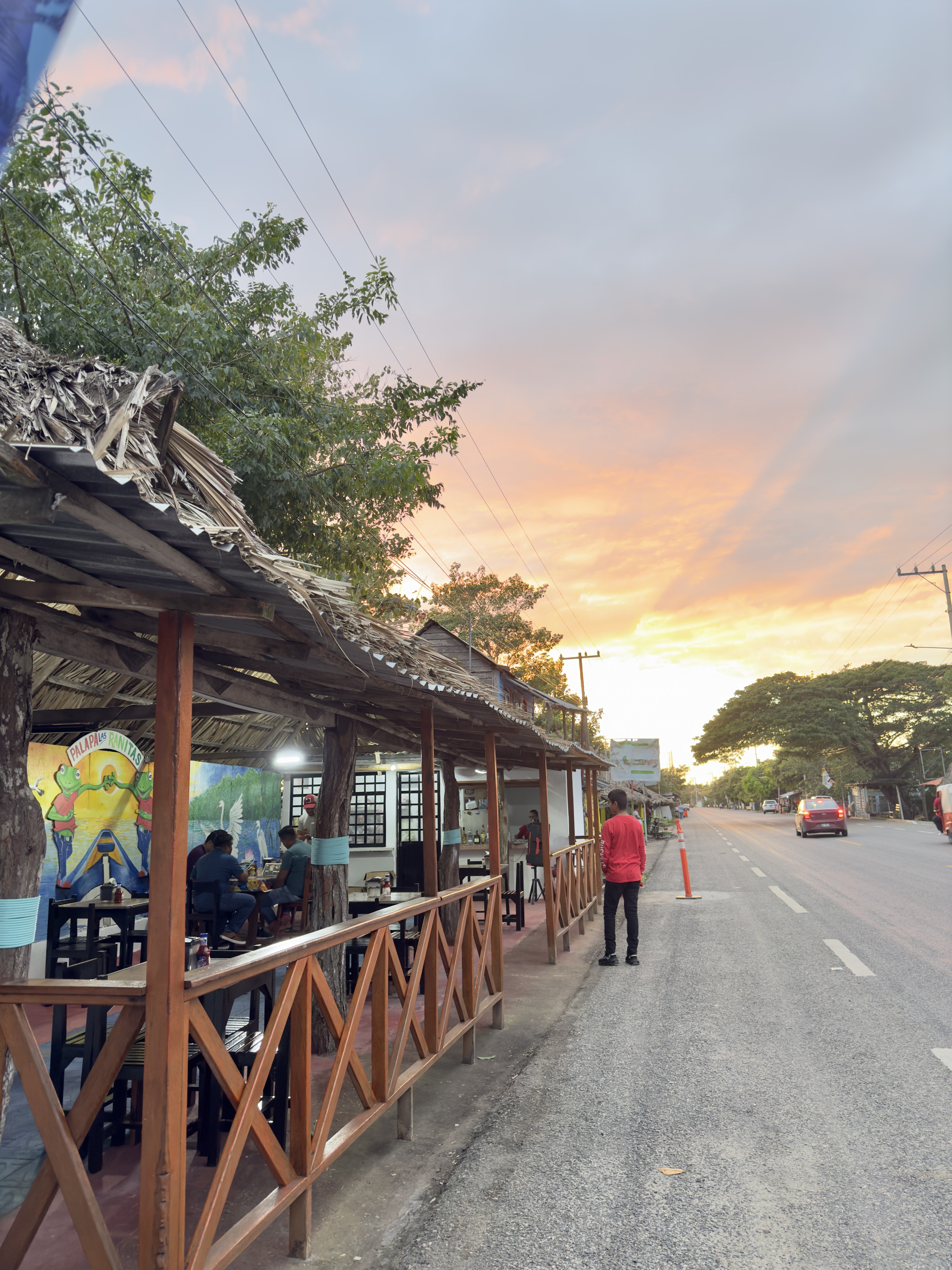 Palapa Las Ranitas image 3