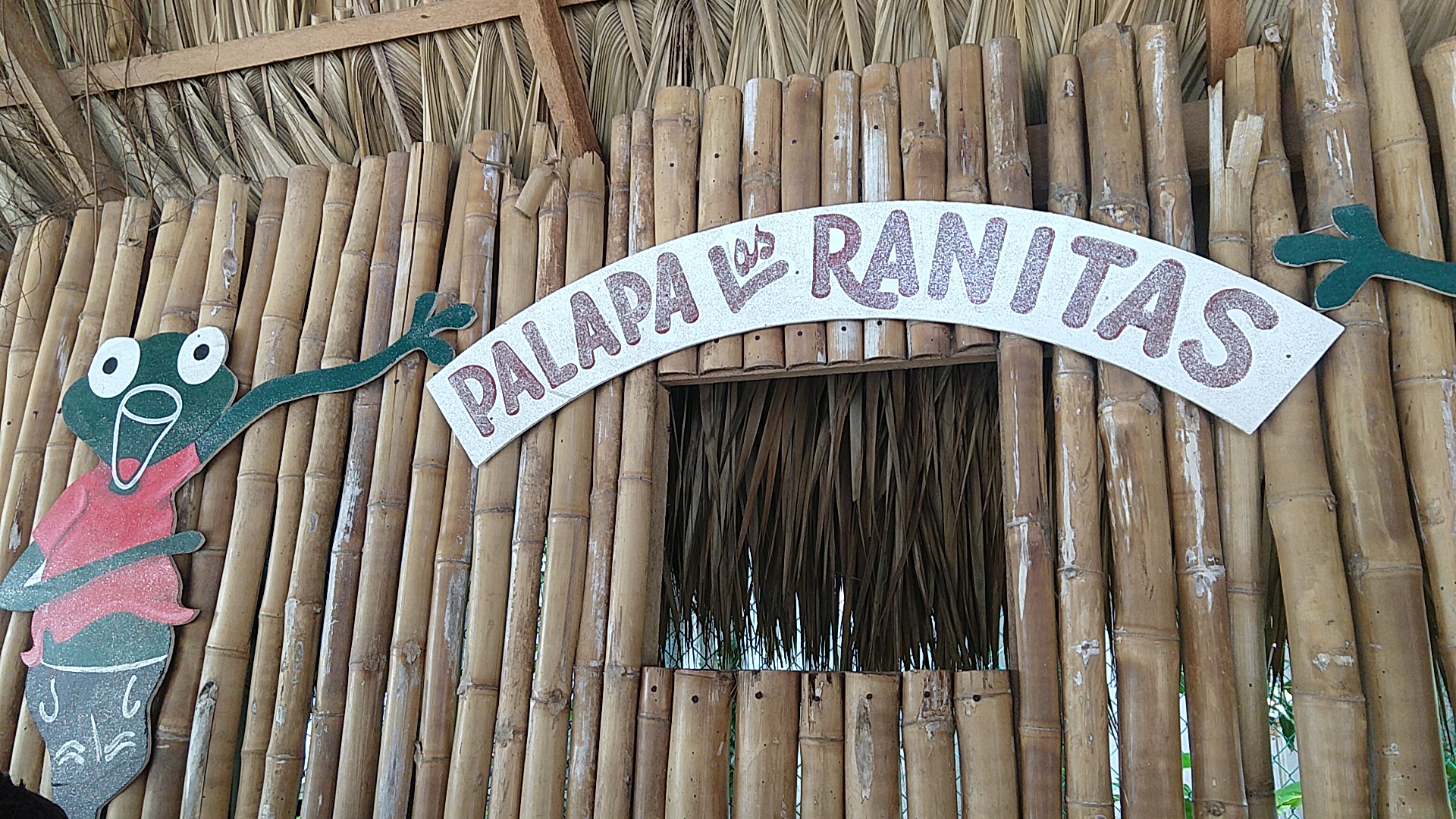 Palapa Las Ranitas image 6