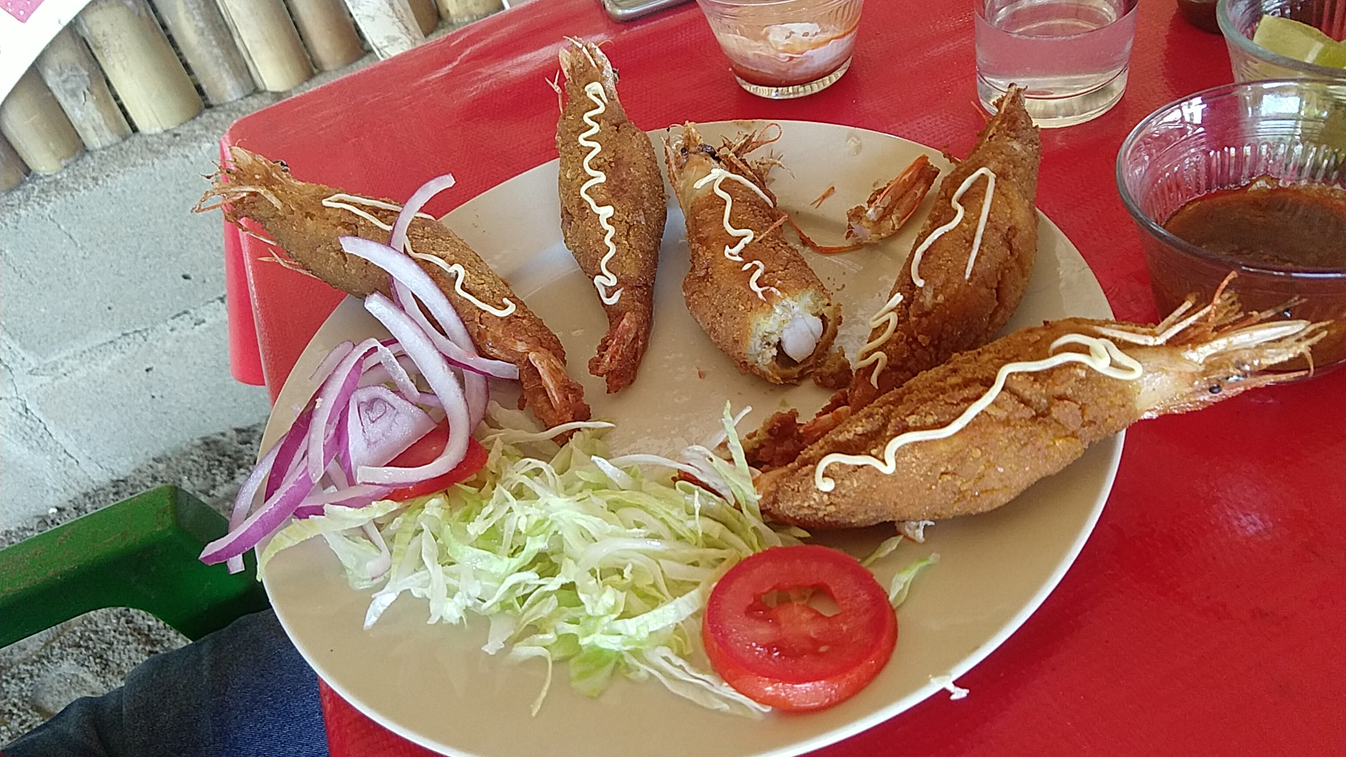 Palapa Las Ranitas image 10