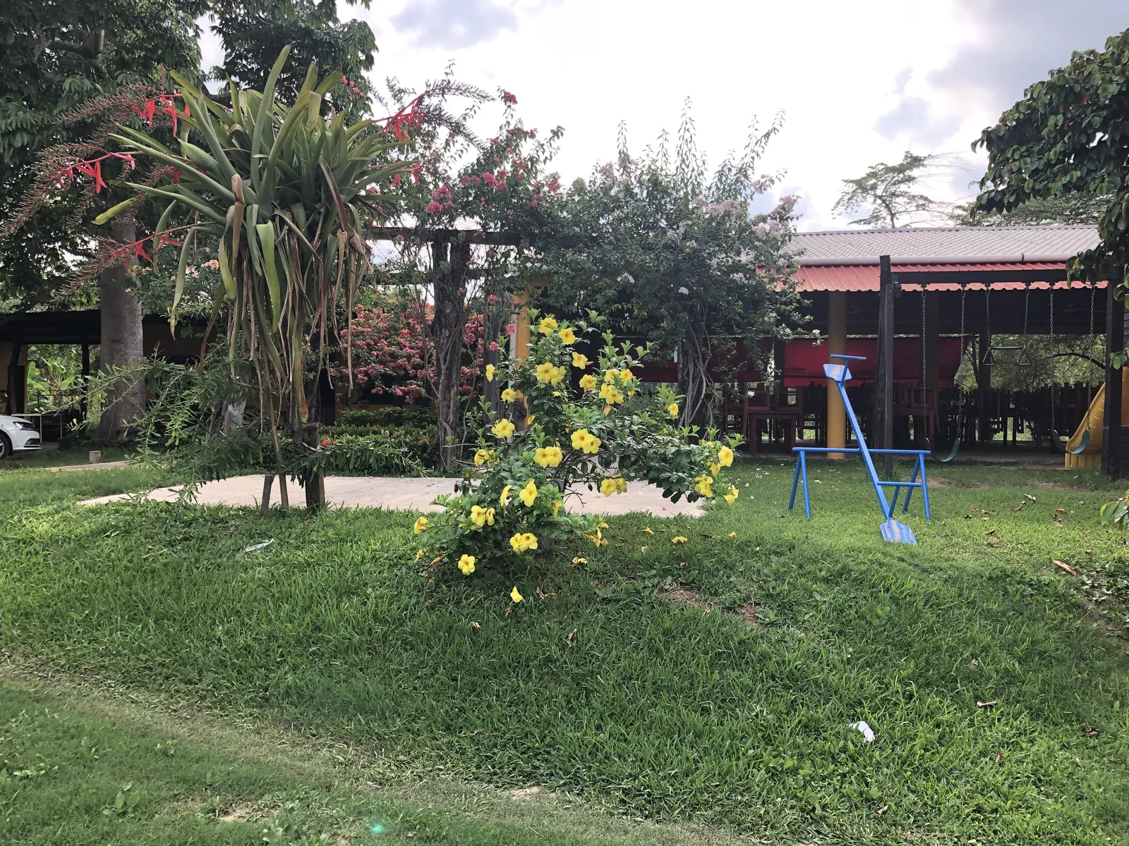 El Tapanco image 3