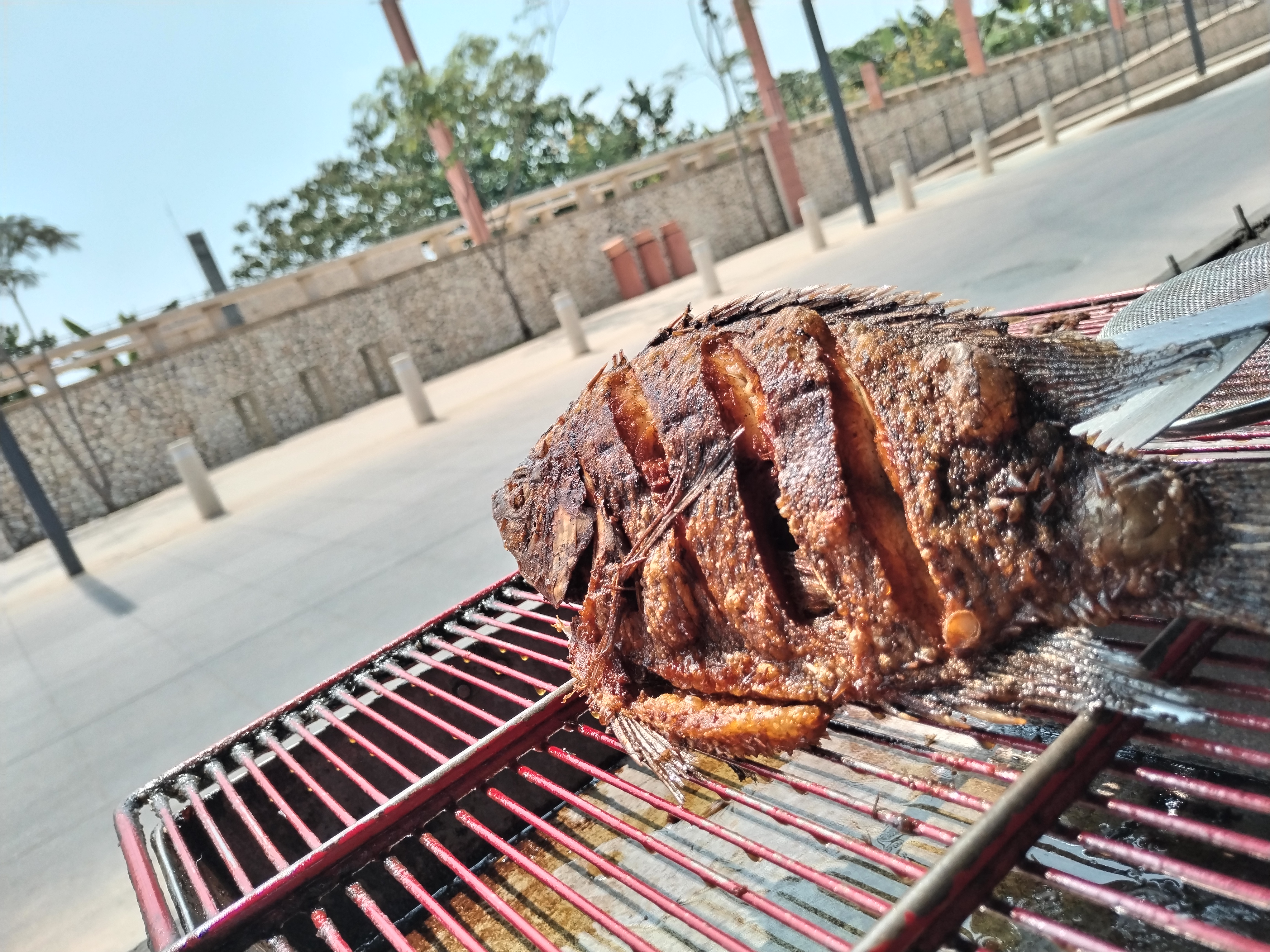 La Mojarra Feliz image 2