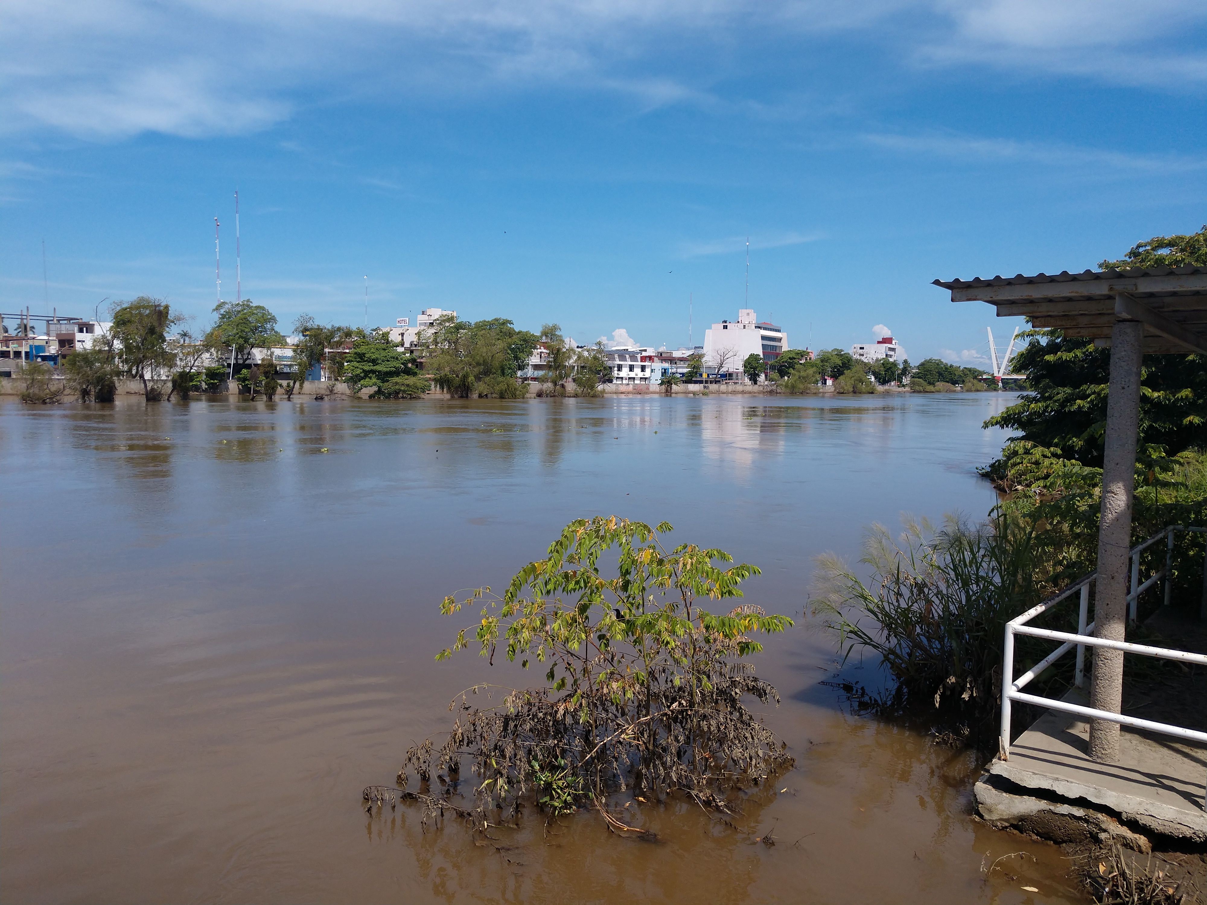 La Mojarra Feliz image 4