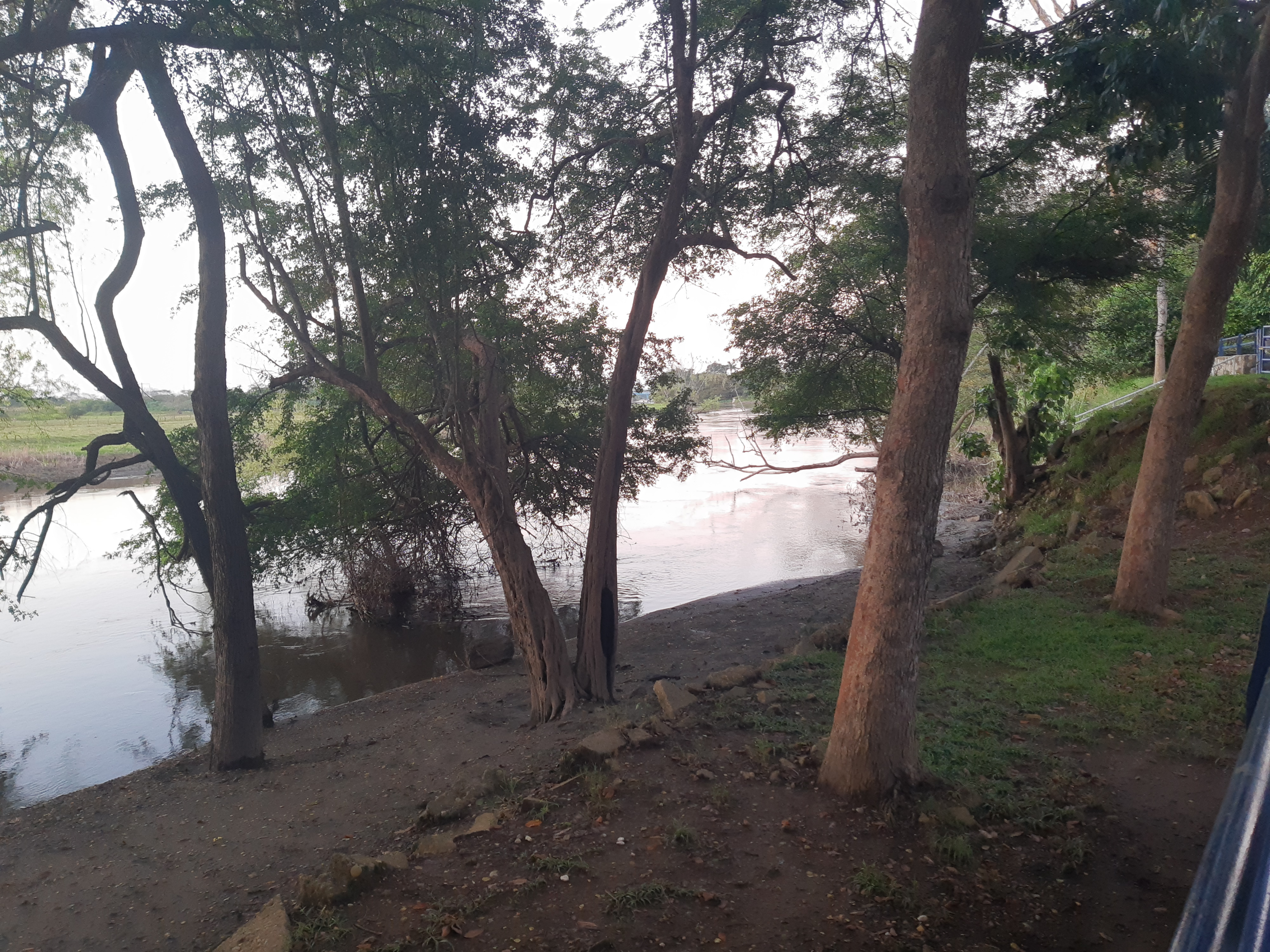 Mariscos La Lupita - Parrilla image 5