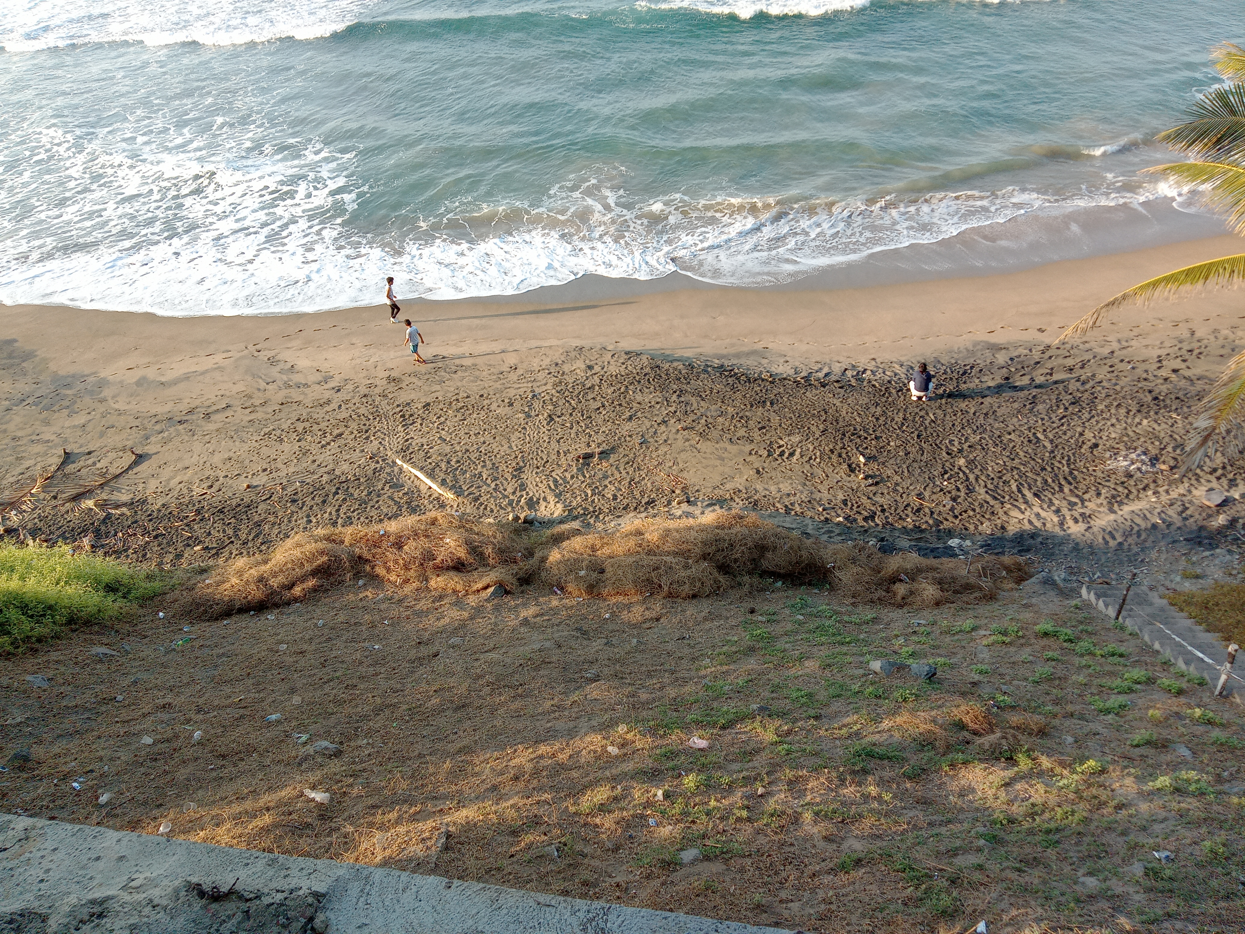 Restaurante de Mariscos las Conchitas image 4
