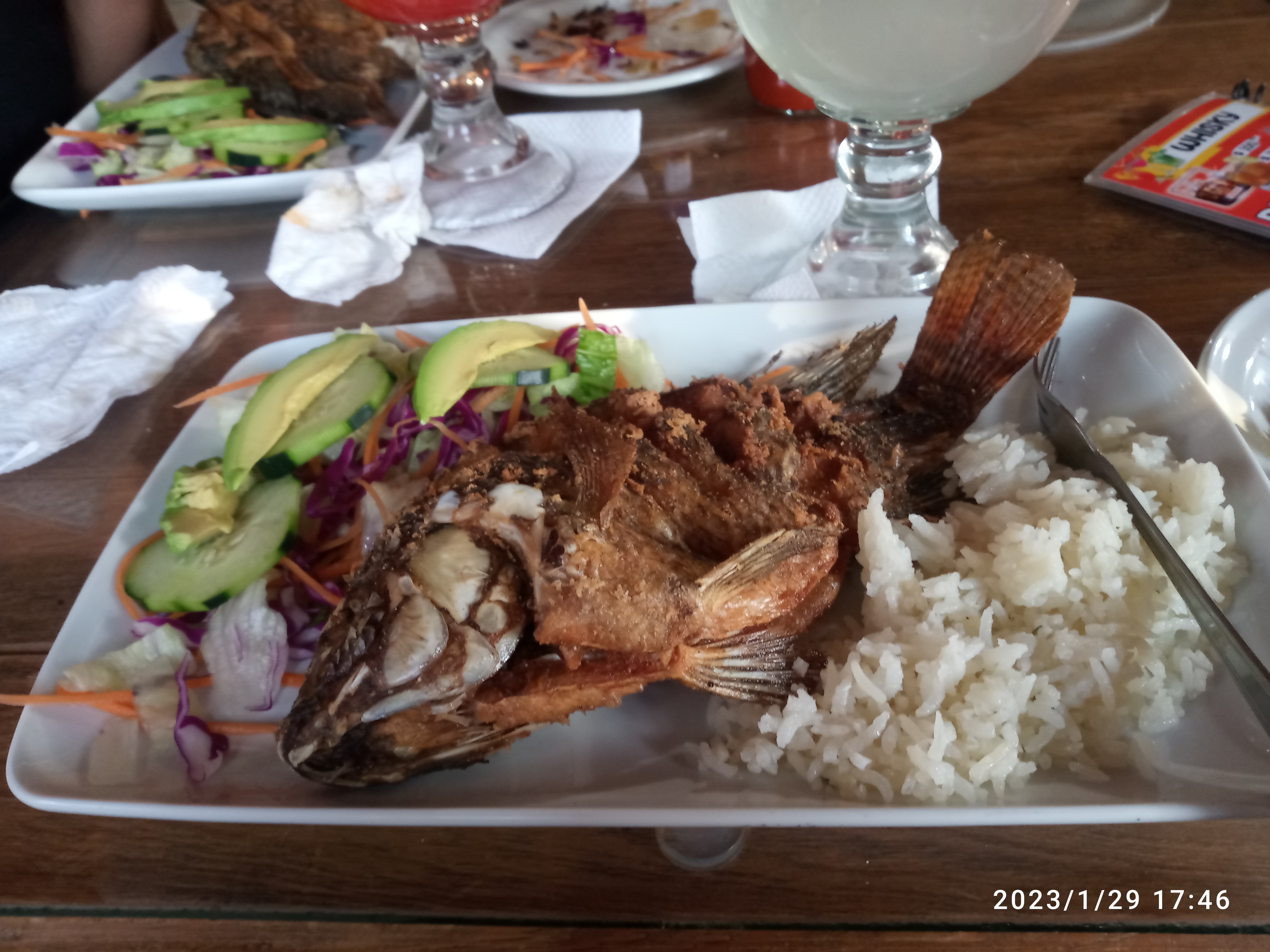 LOS PECES DE ZOZEA image 1