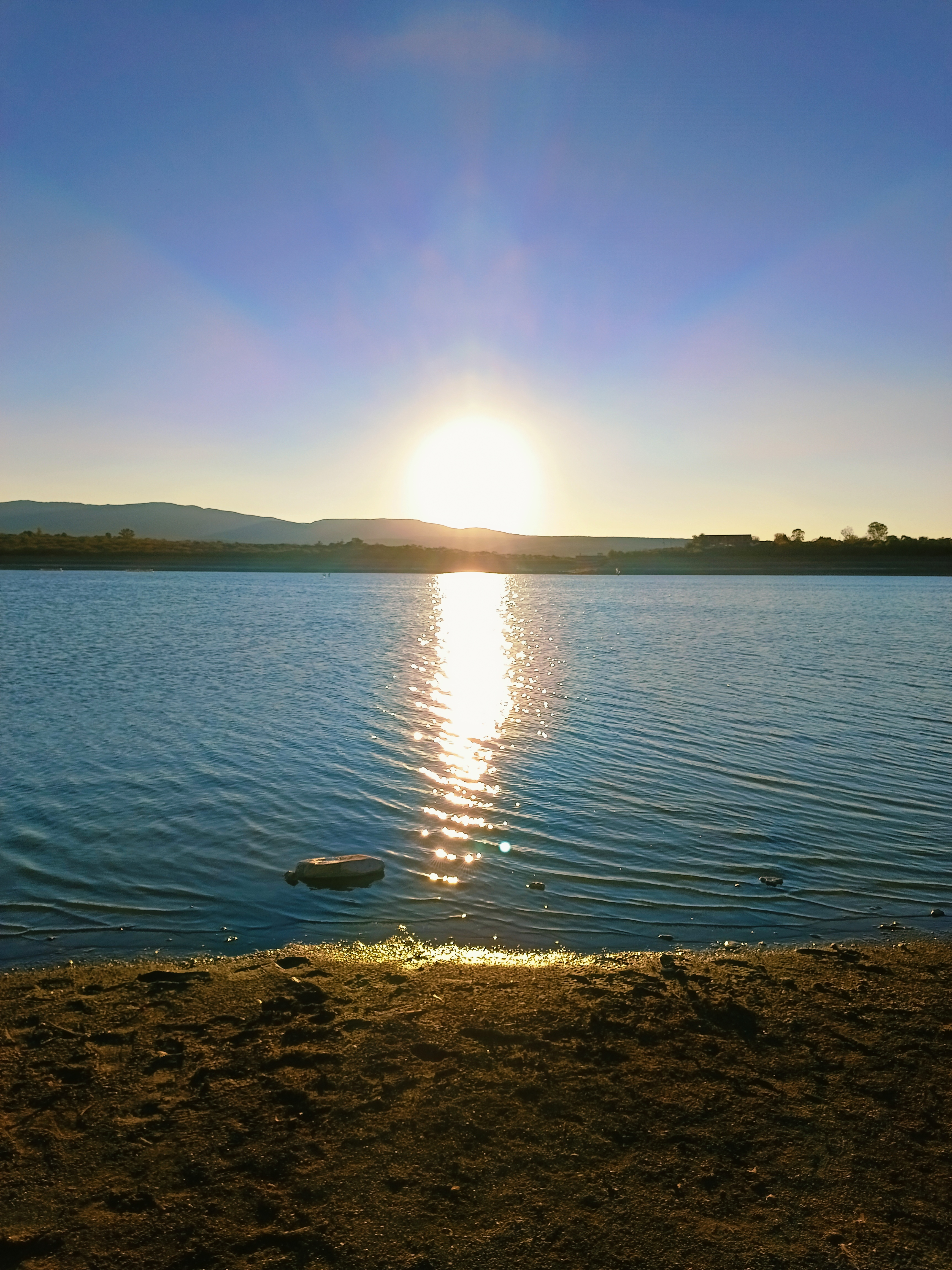 LOS PECES DE ZOZEA image 3