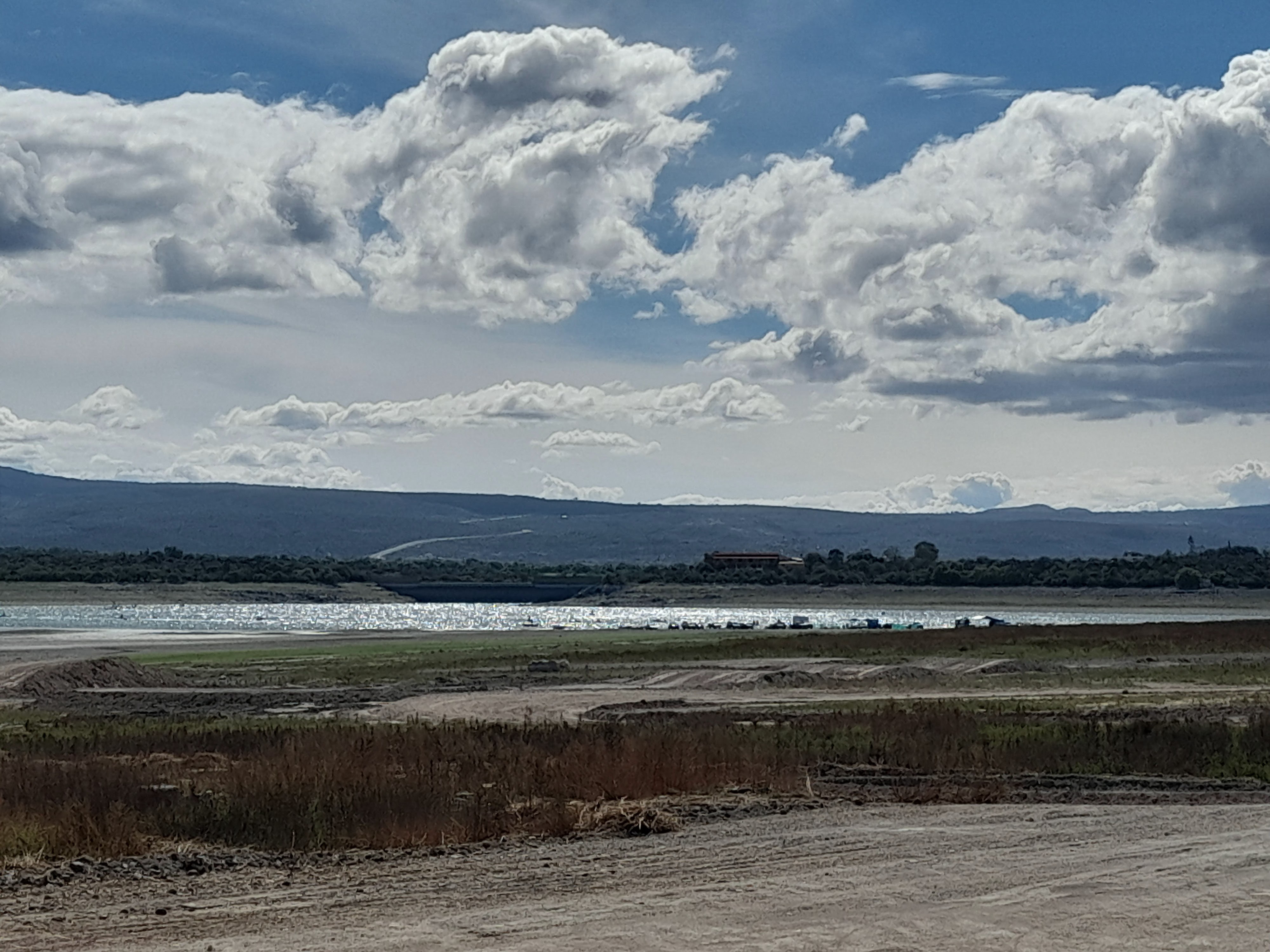 LOS PECES DE ZOZEA image 4