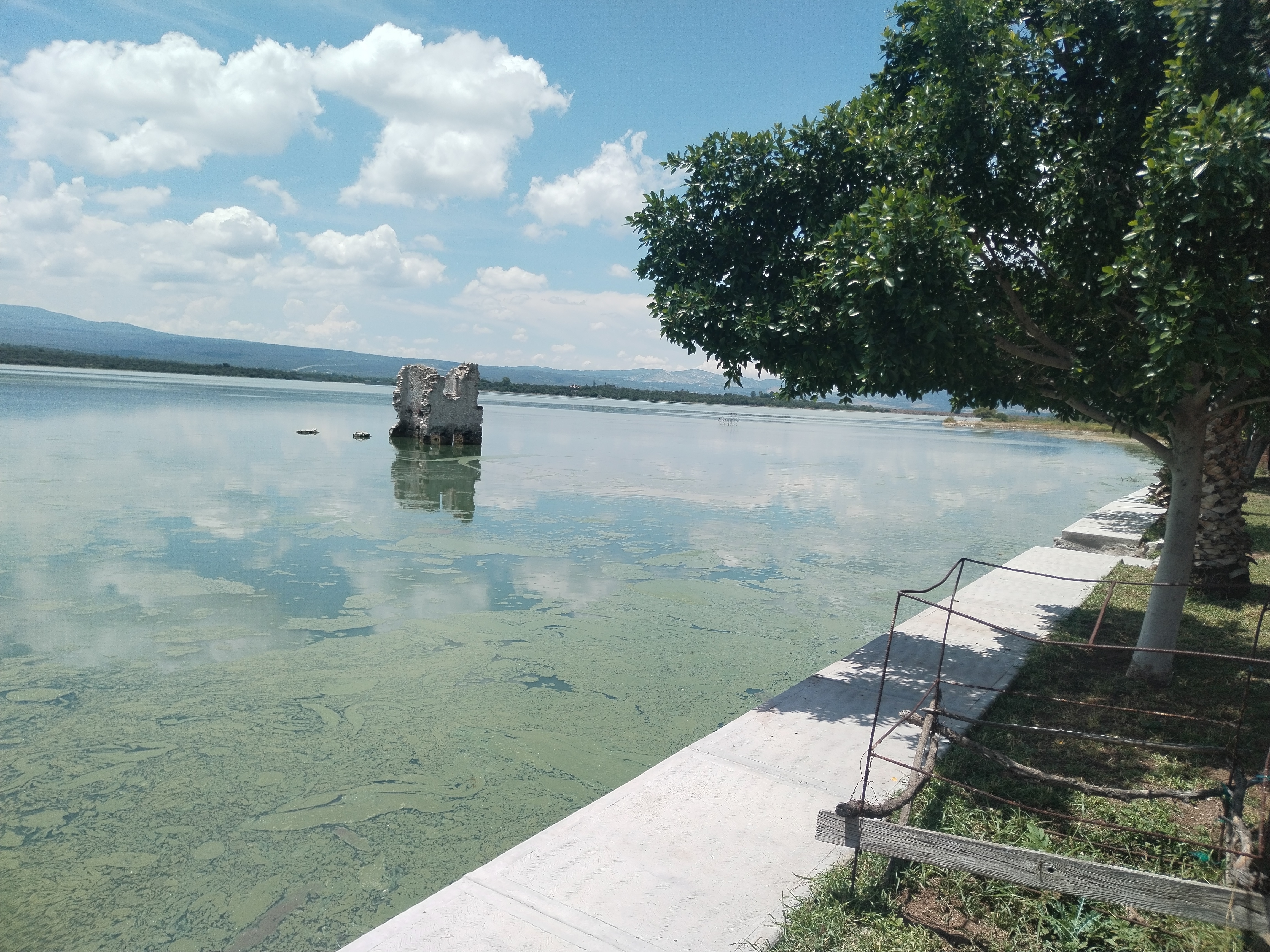 LOS PECES DE ZOZEA image 5