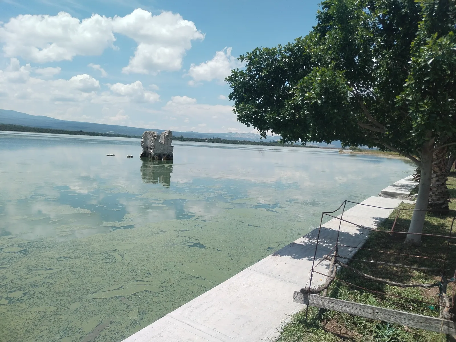 LOS PECES DE ZOZEA image 5