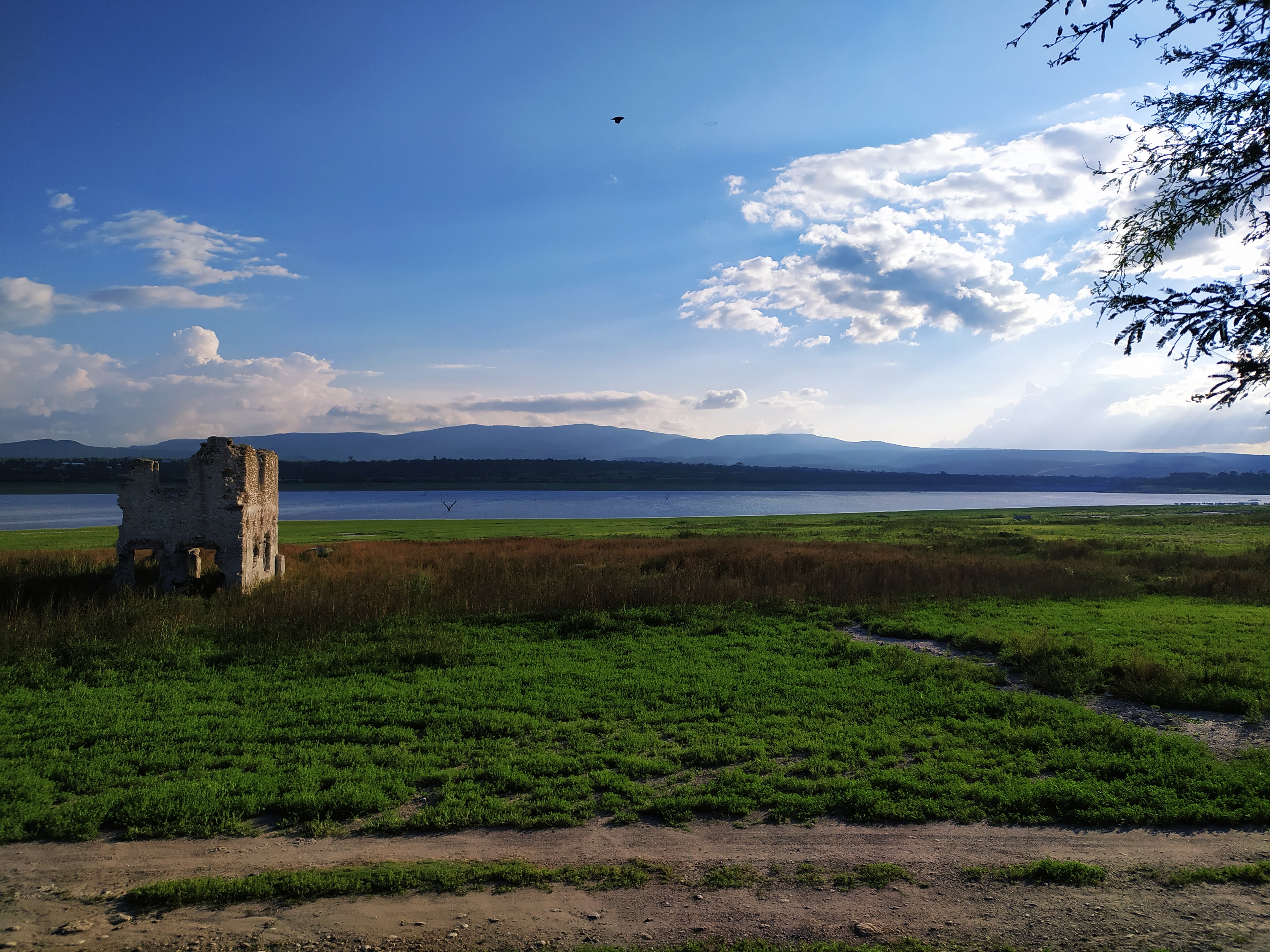 LOS PECES DE ZOZEA image 6