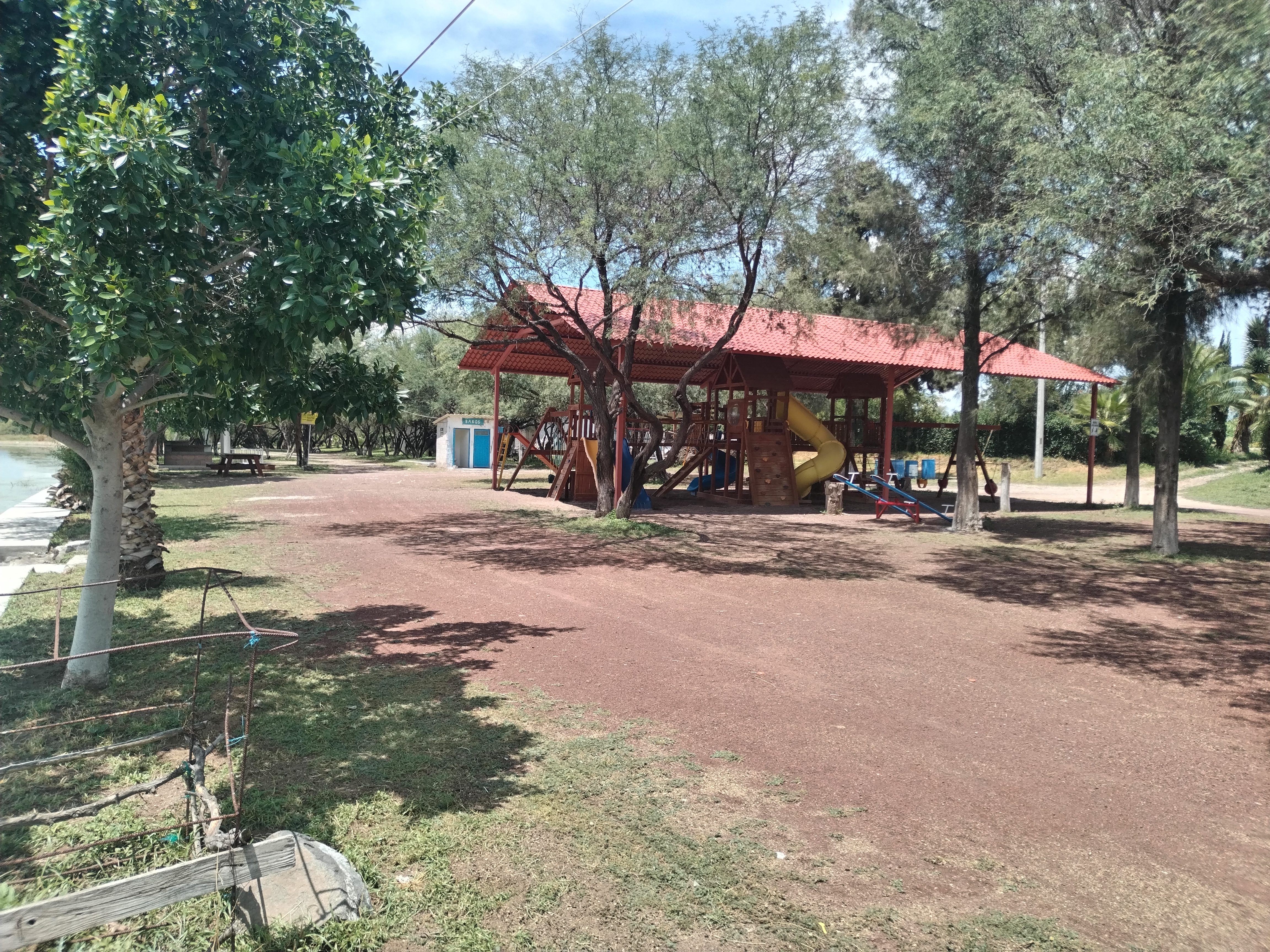 LOS PECES DE ZOZEA image 7