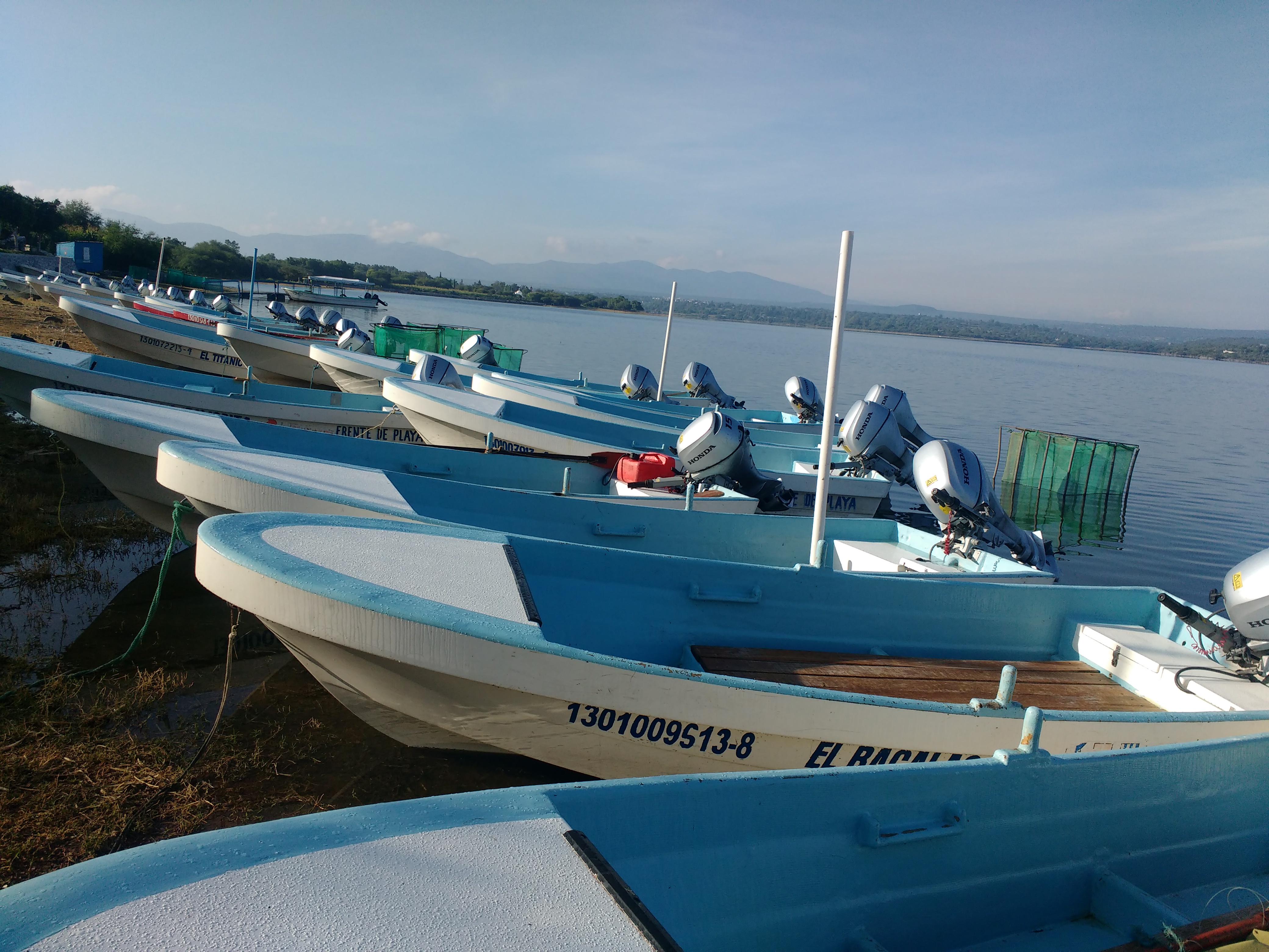 LOS PECES DE ZOZEA image 8