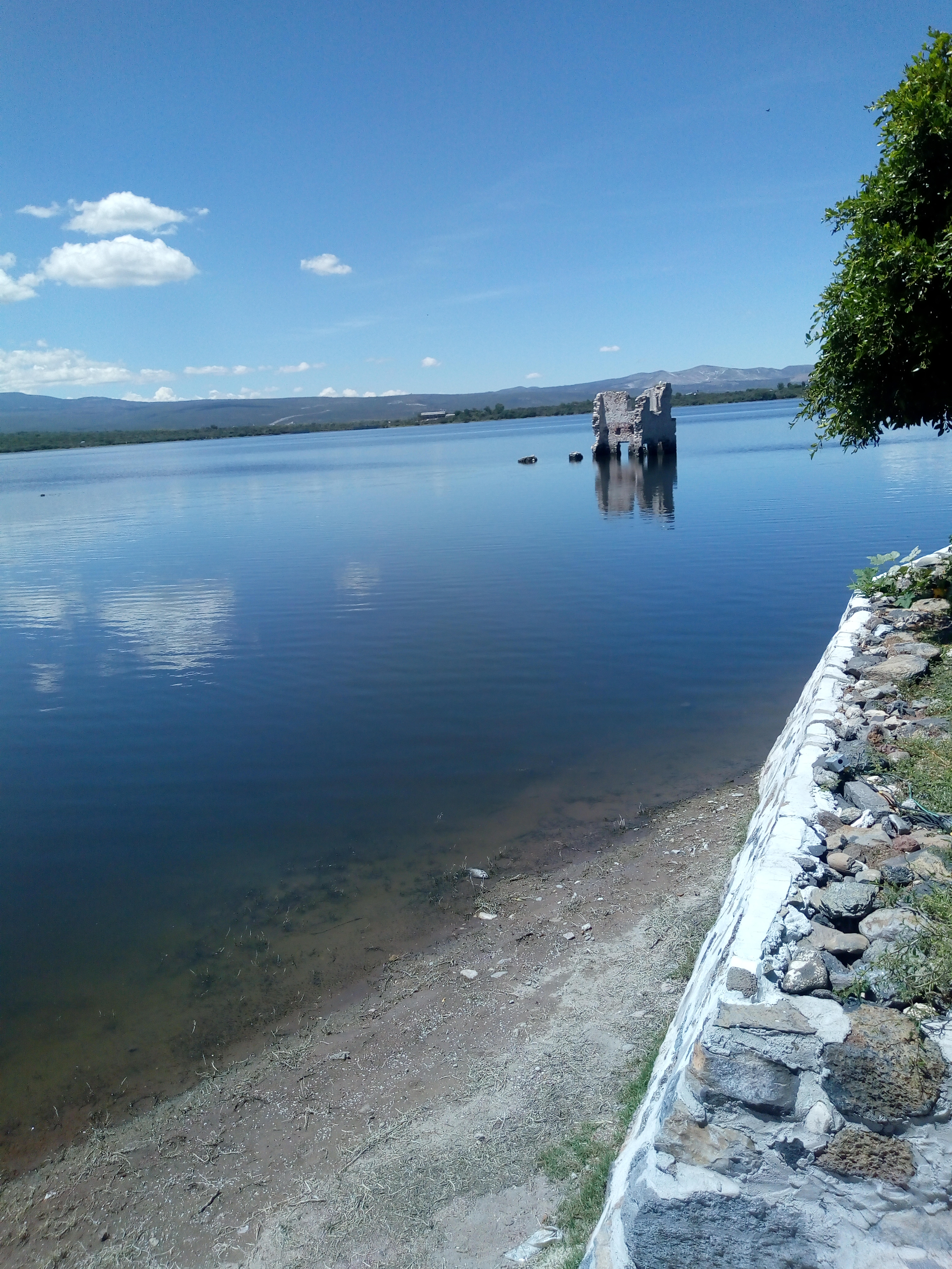 LOS PECES DE ZOZEA image 9