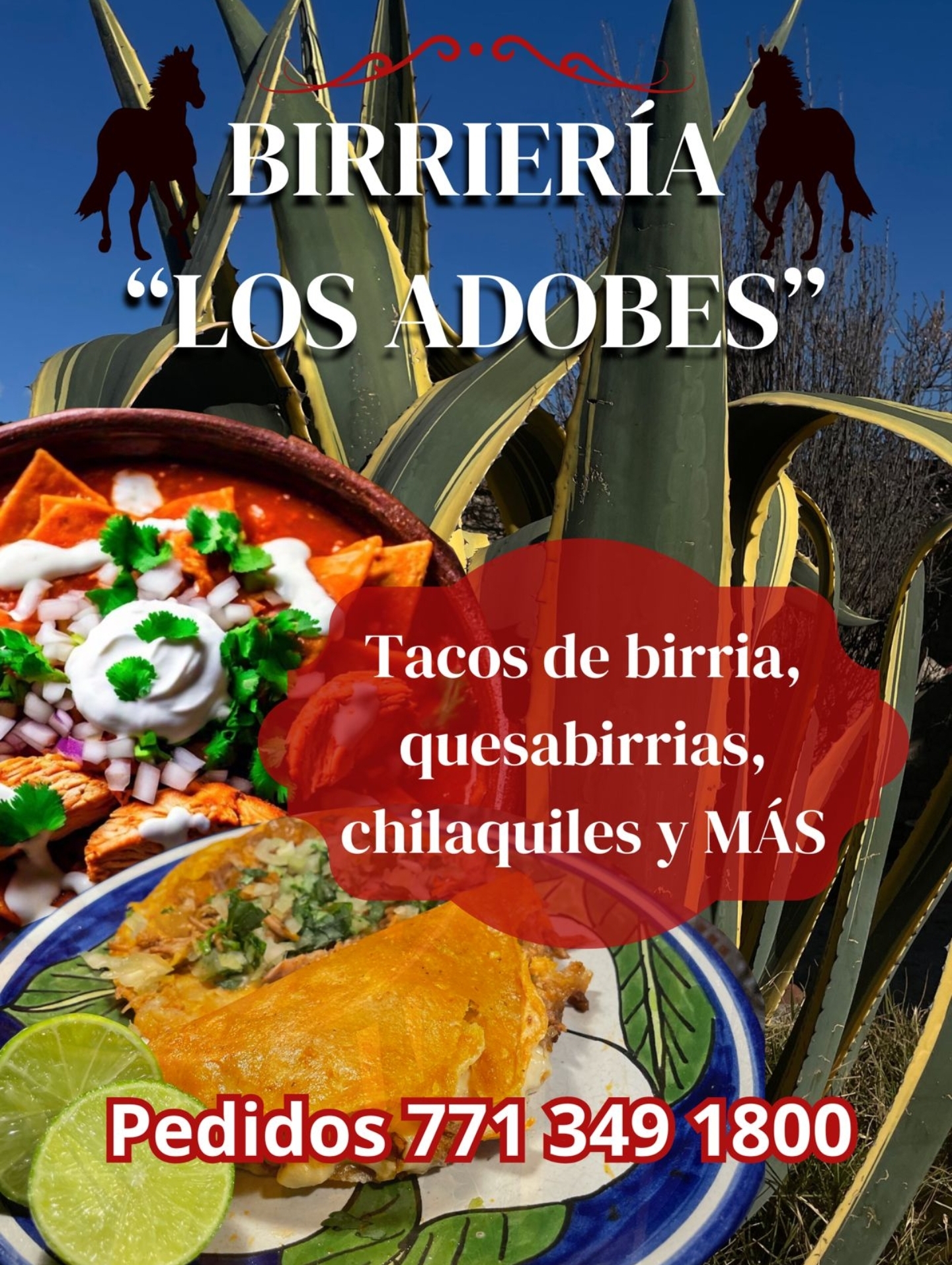 Birria Los adobes image 4