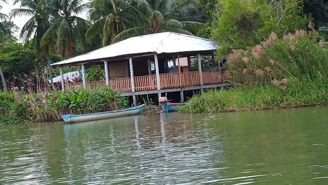 Palapa El Puente image 3