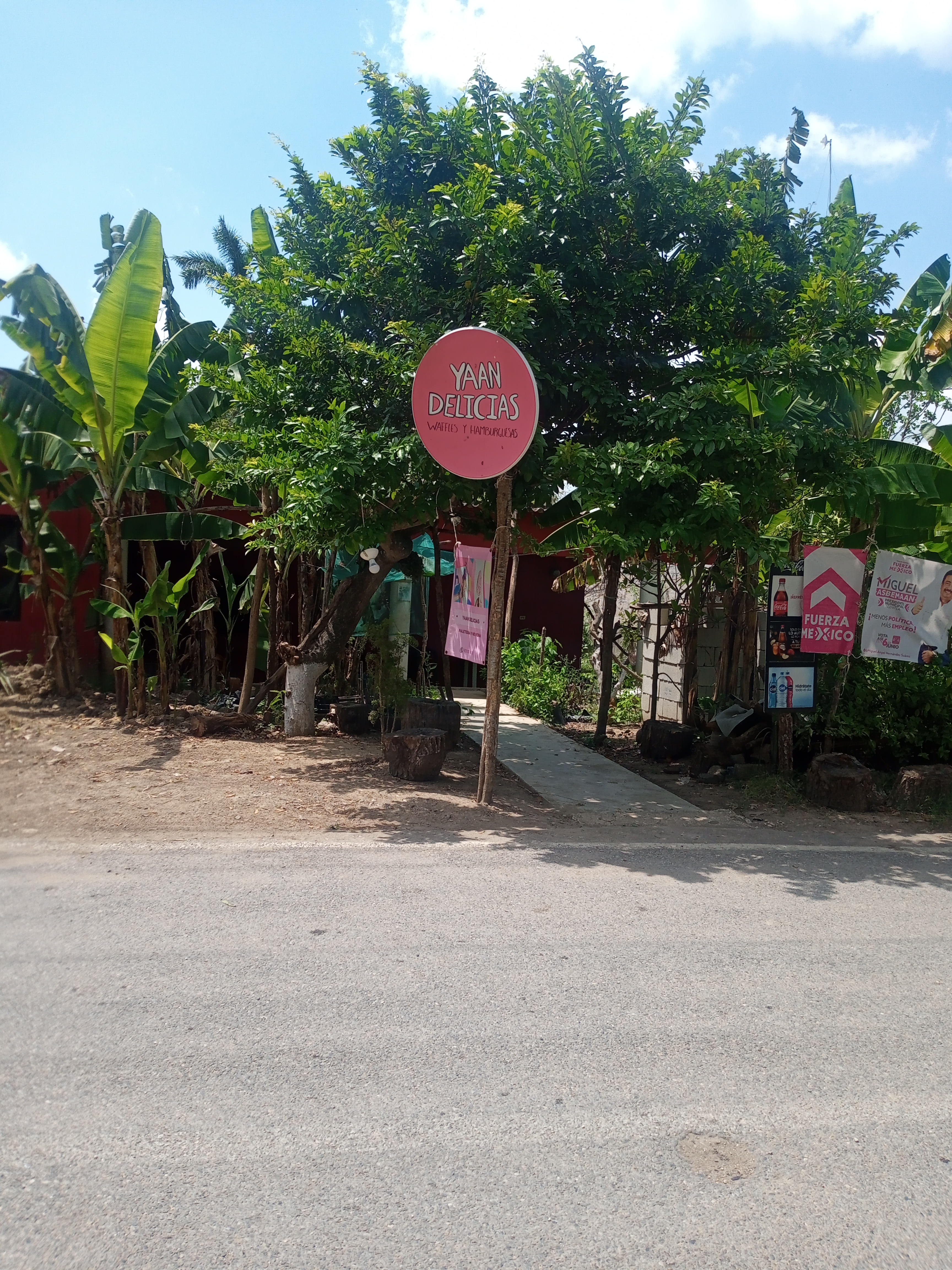 YAAN DELICIAS image 1