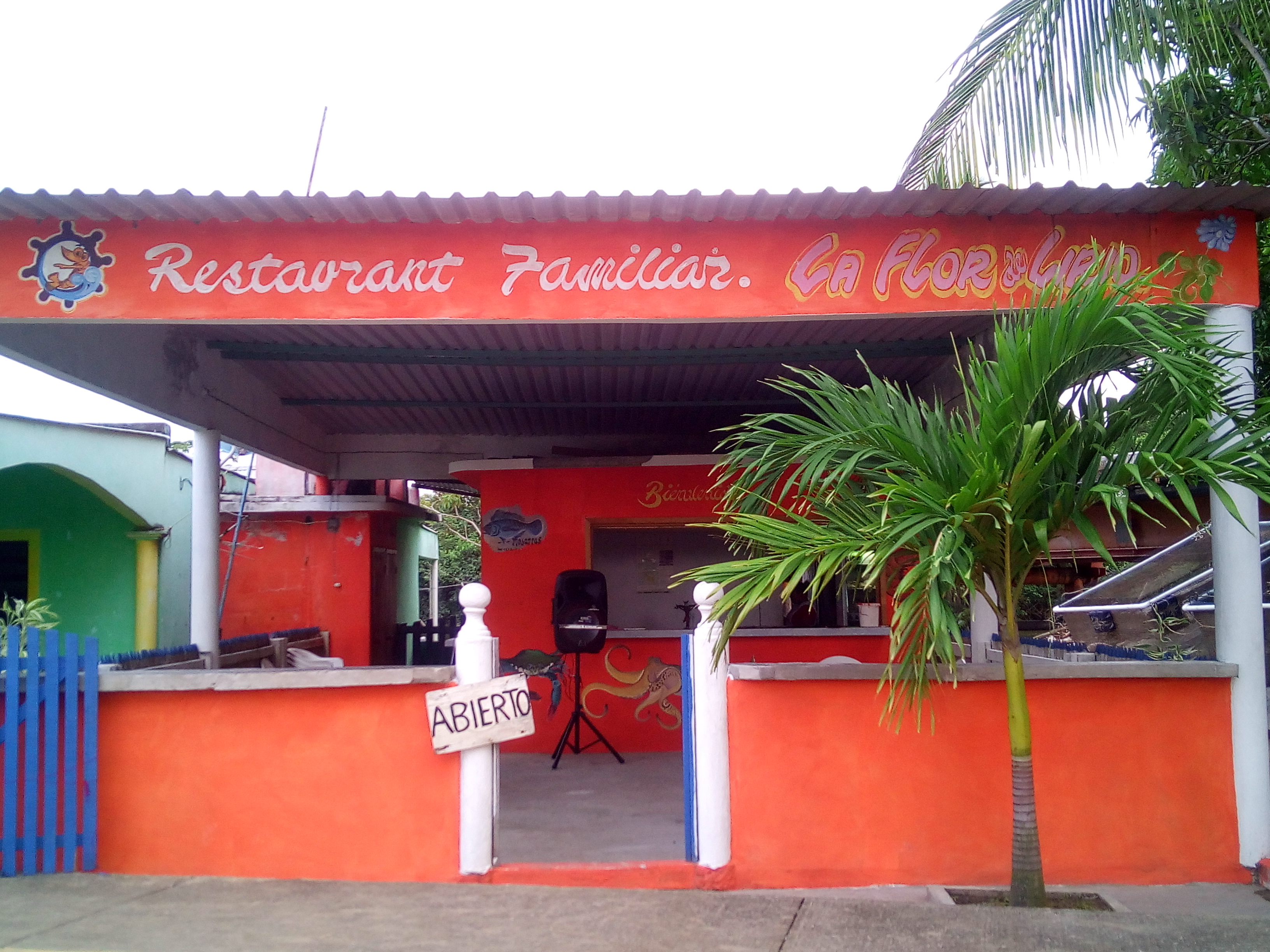 Restaurante "La Flor de Lirio" image 1