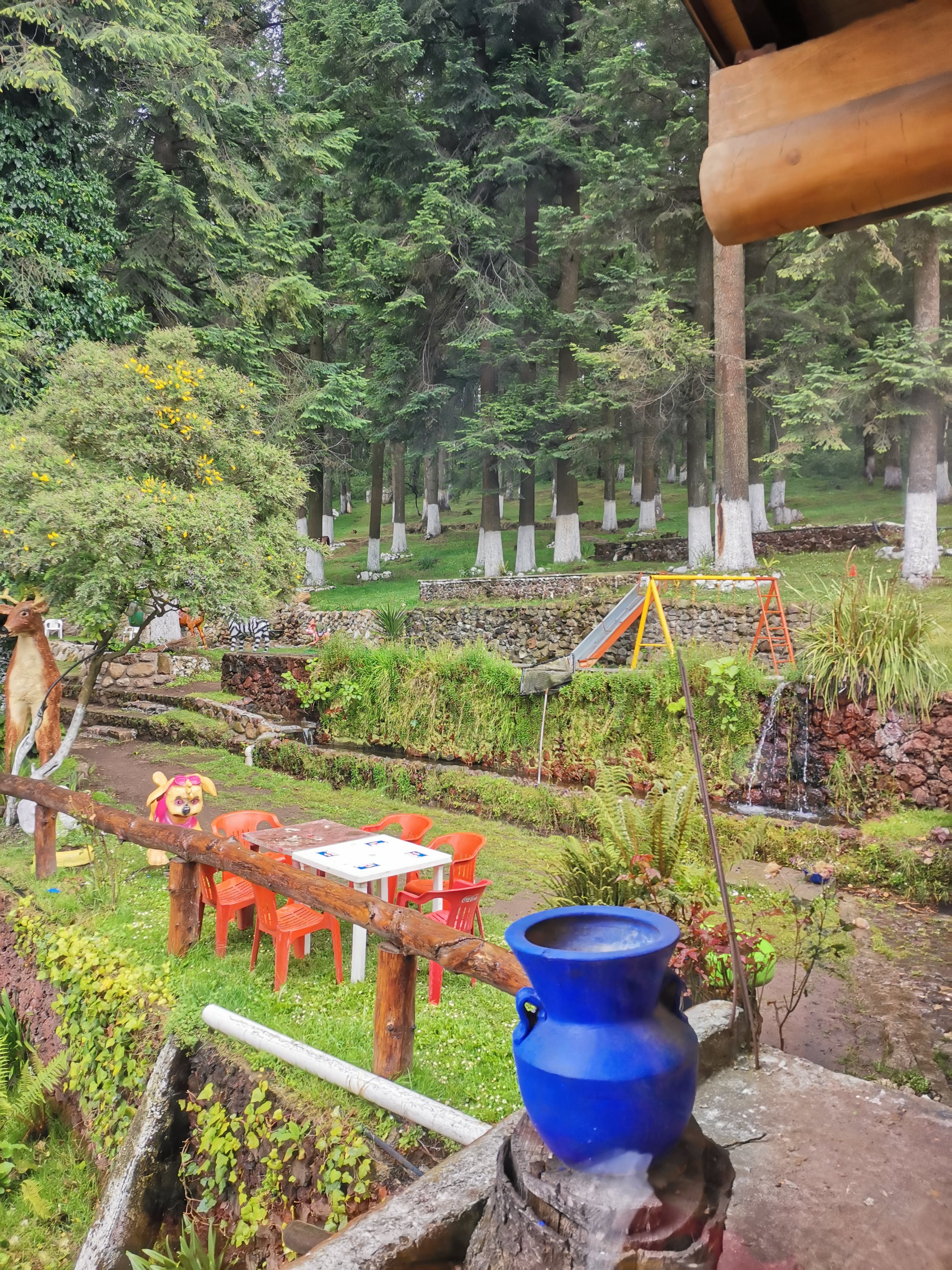 Restaurante El Chinaco image 9
